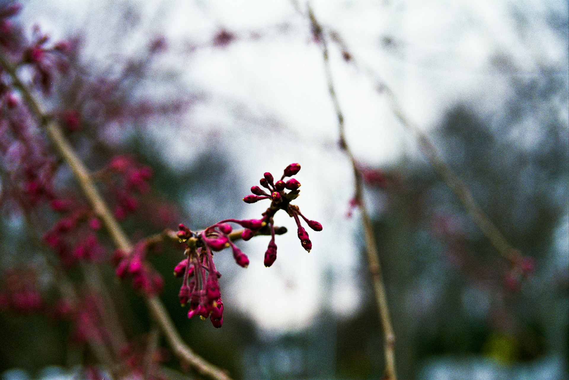 Autosave-File vom d-lab2/3 der AgfaPhoto GmbH
