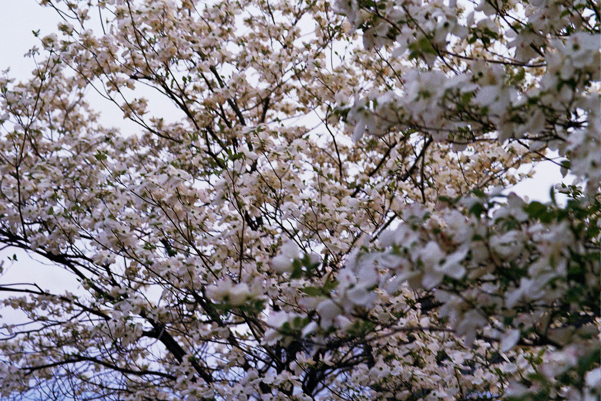 Autosave-File vom d-lab2/3 der AgfaPhoto GmbH