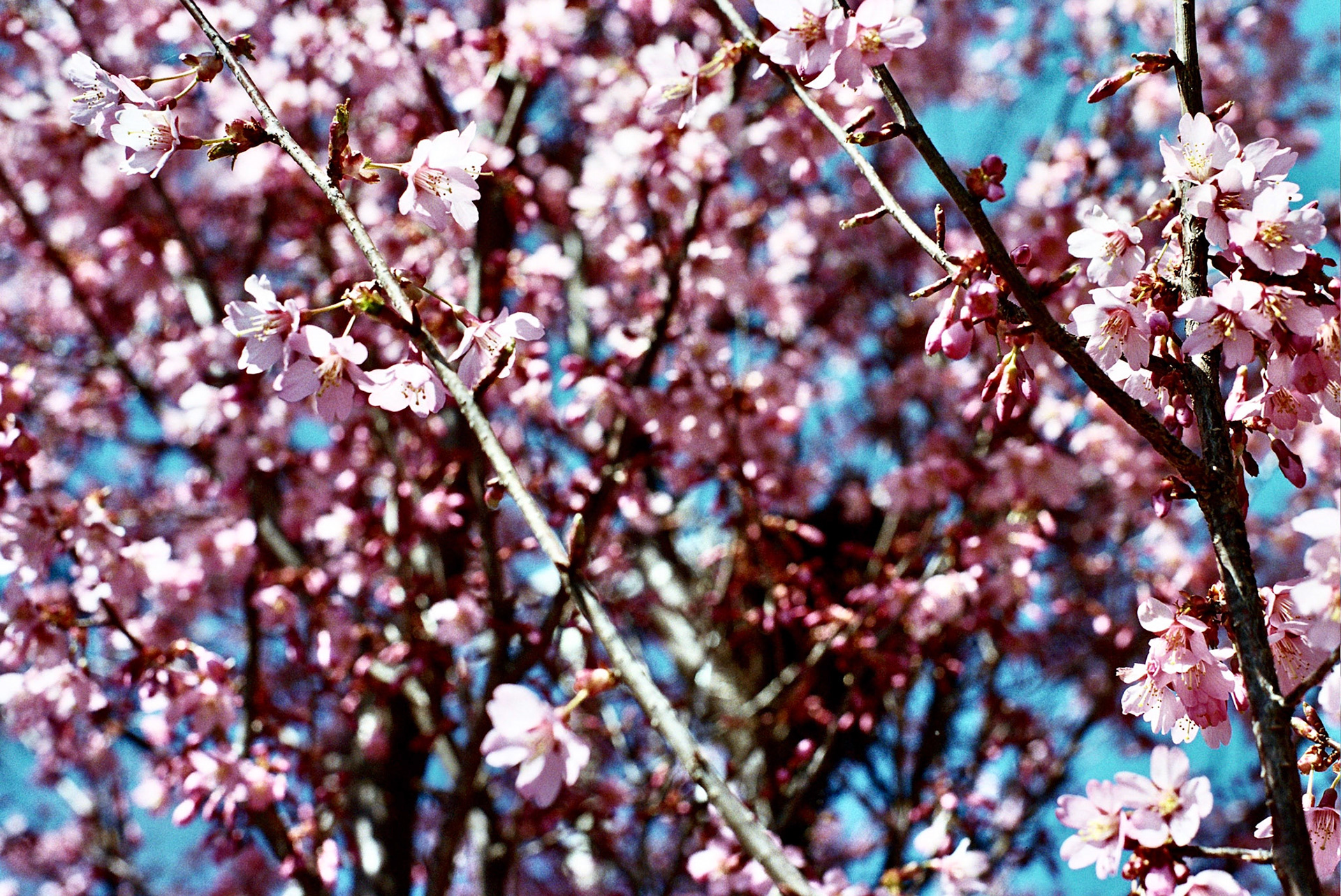 Autosave-File vom d-lab2/3 der AgfaPhoto GmbH