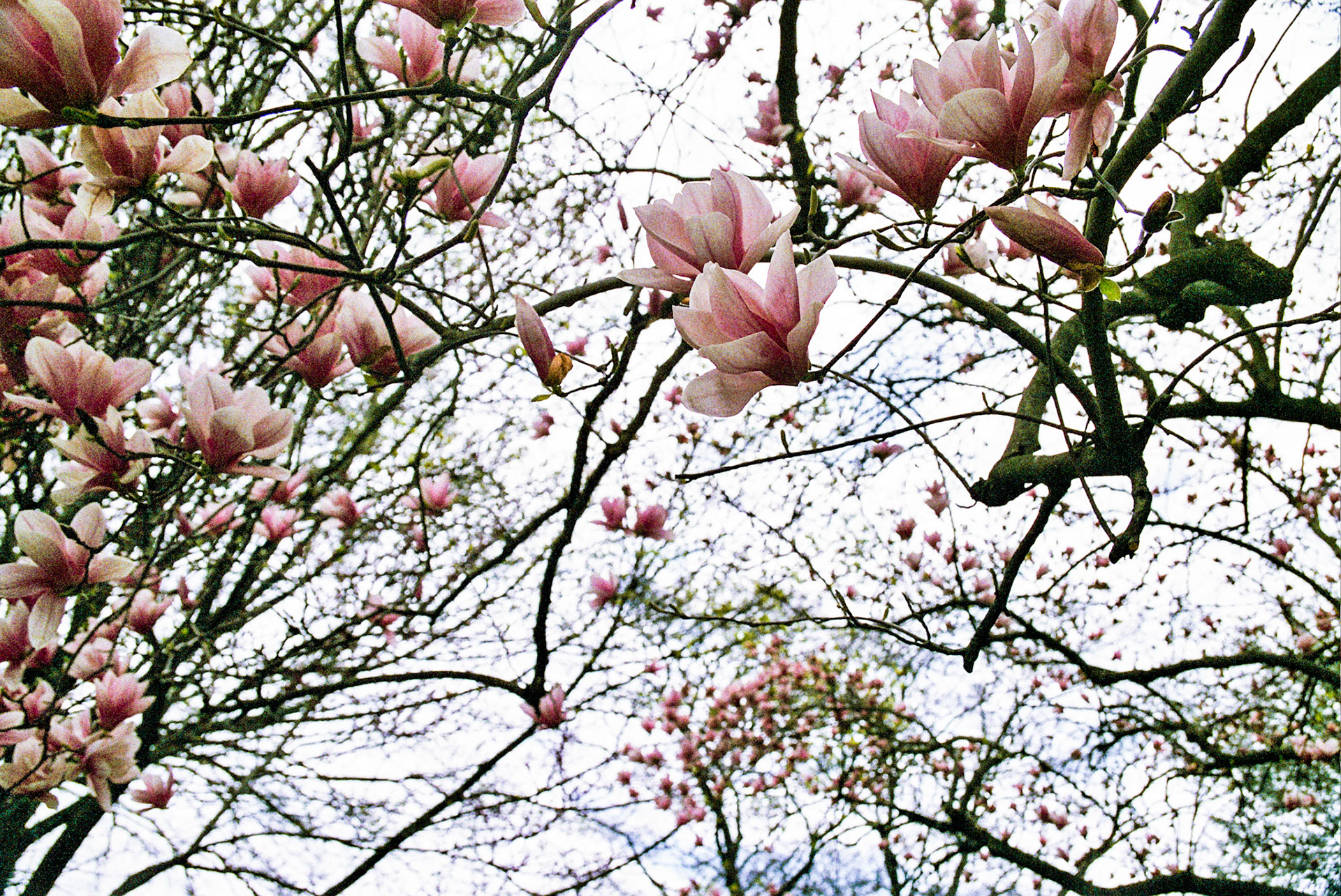 Autosave-File vom d-lab2/3 der AgfaPhoto GmbH