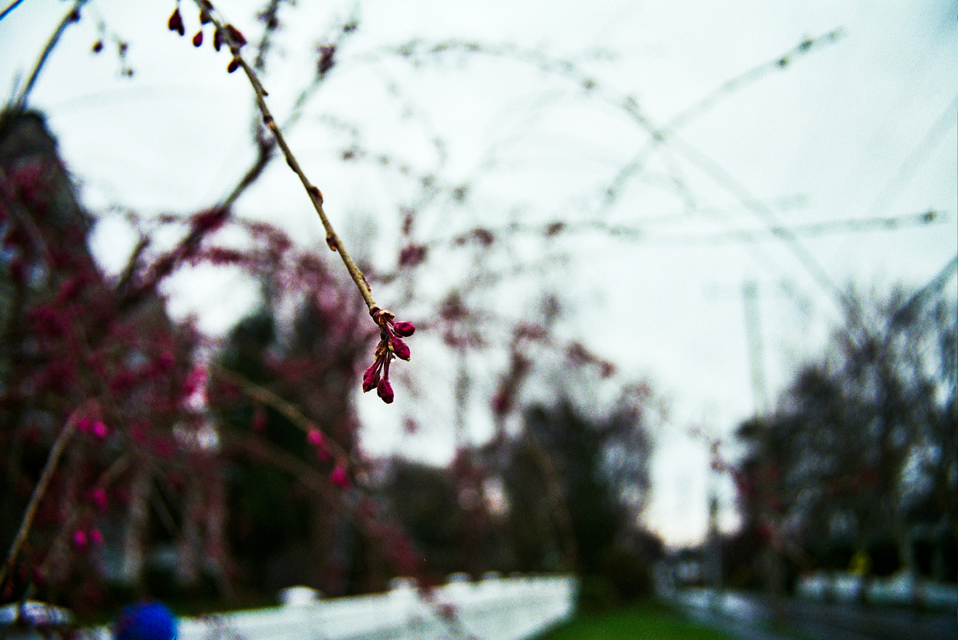 Autosave-File vom d-lab2/3 der AgfaPhoto GmbH