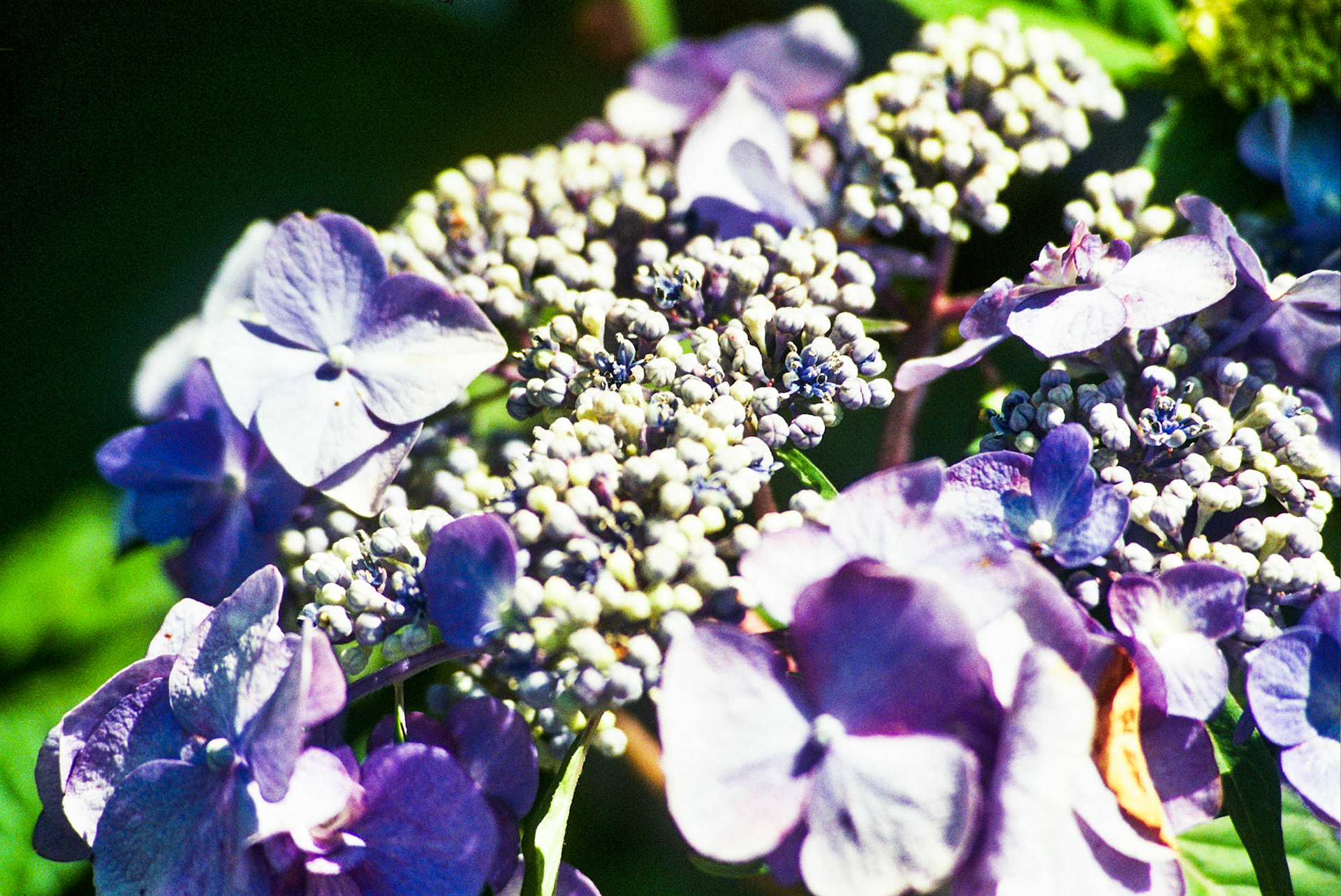 Autosave-File vom d-lab2/3 der AgfaPhoto GmbH