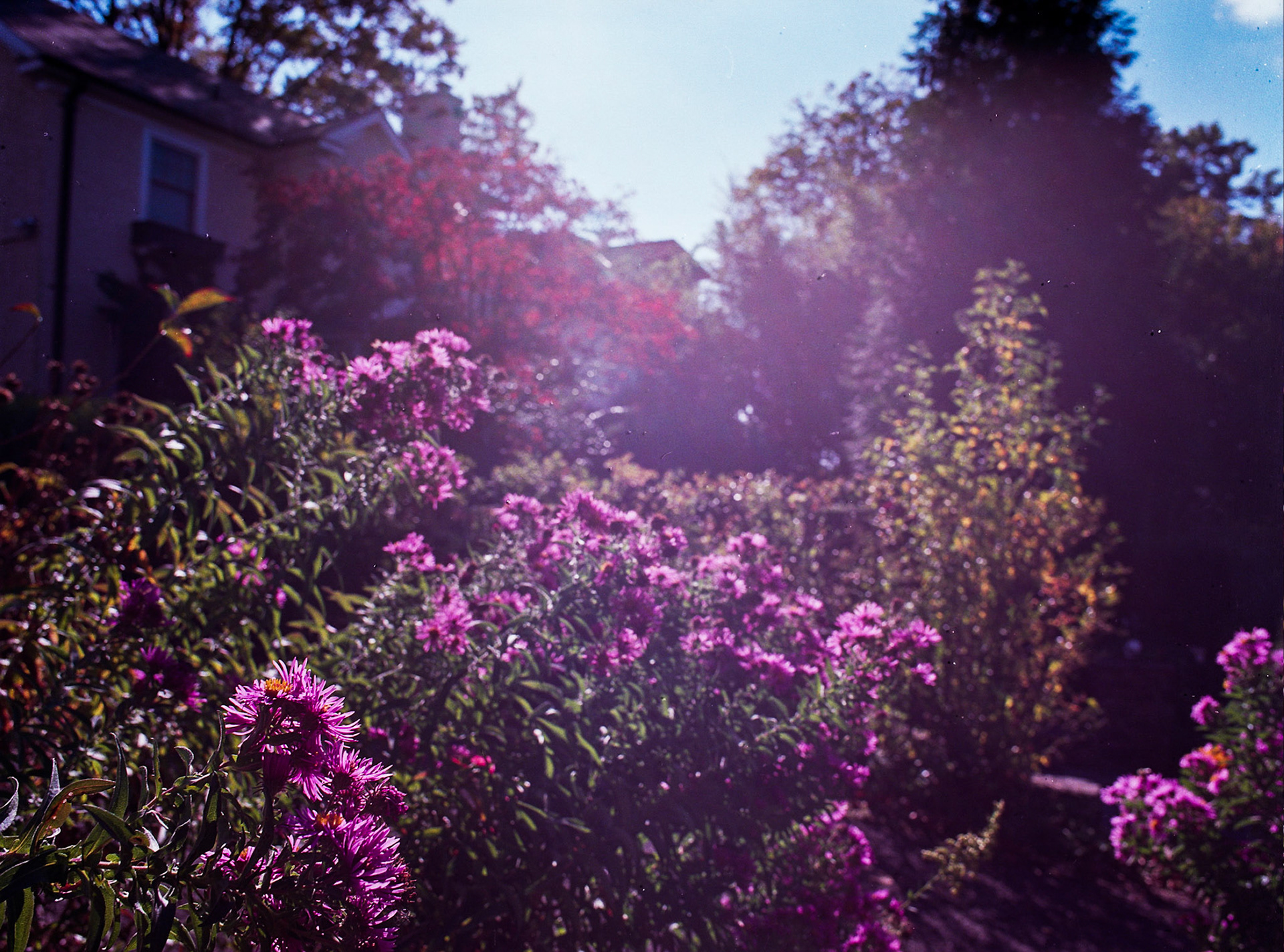 Autosave-File vom d-lab2/3 der AgfaPhoto GmbH