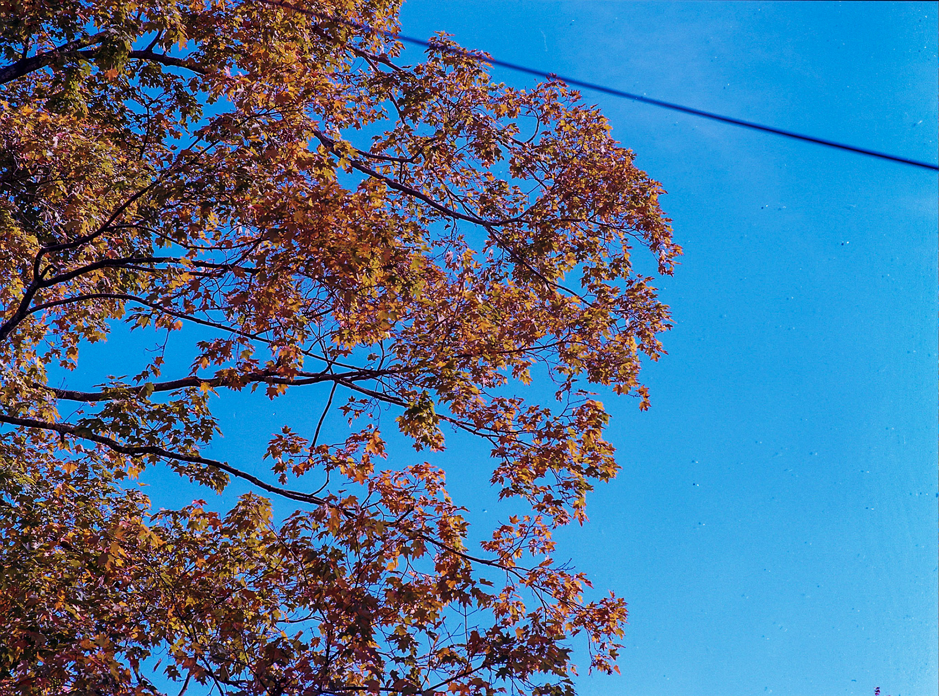 Autosave-File vom d-lab2/3 der AgfaPhoto GmbH