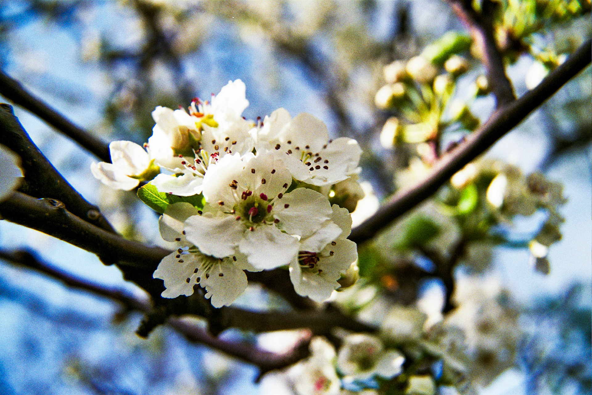 Autosave-File vom d-lab2/3 der AgfaPhoto GmbH