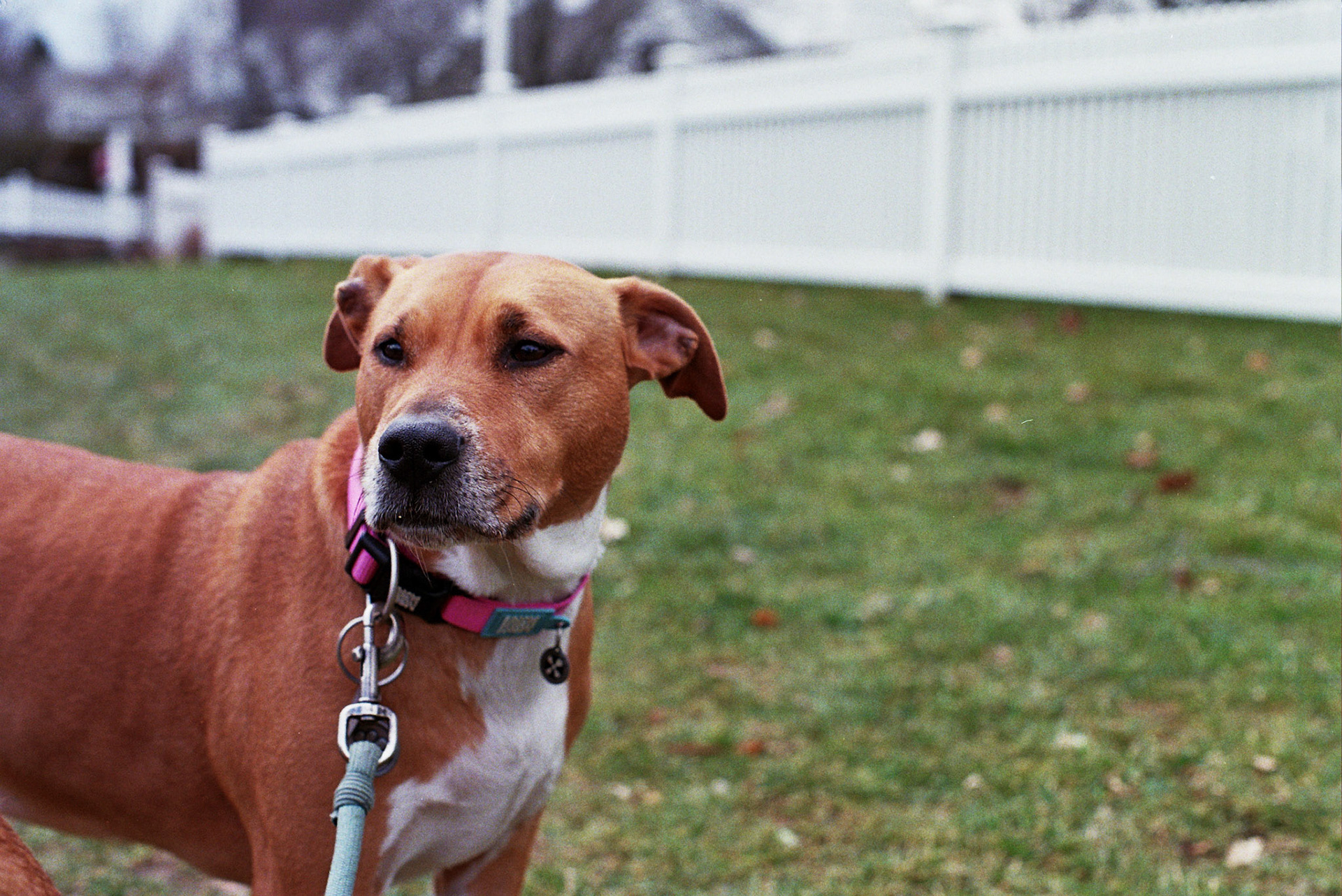 Autosave-File vom d-lab2/3 der AgfaPhoto GmbH