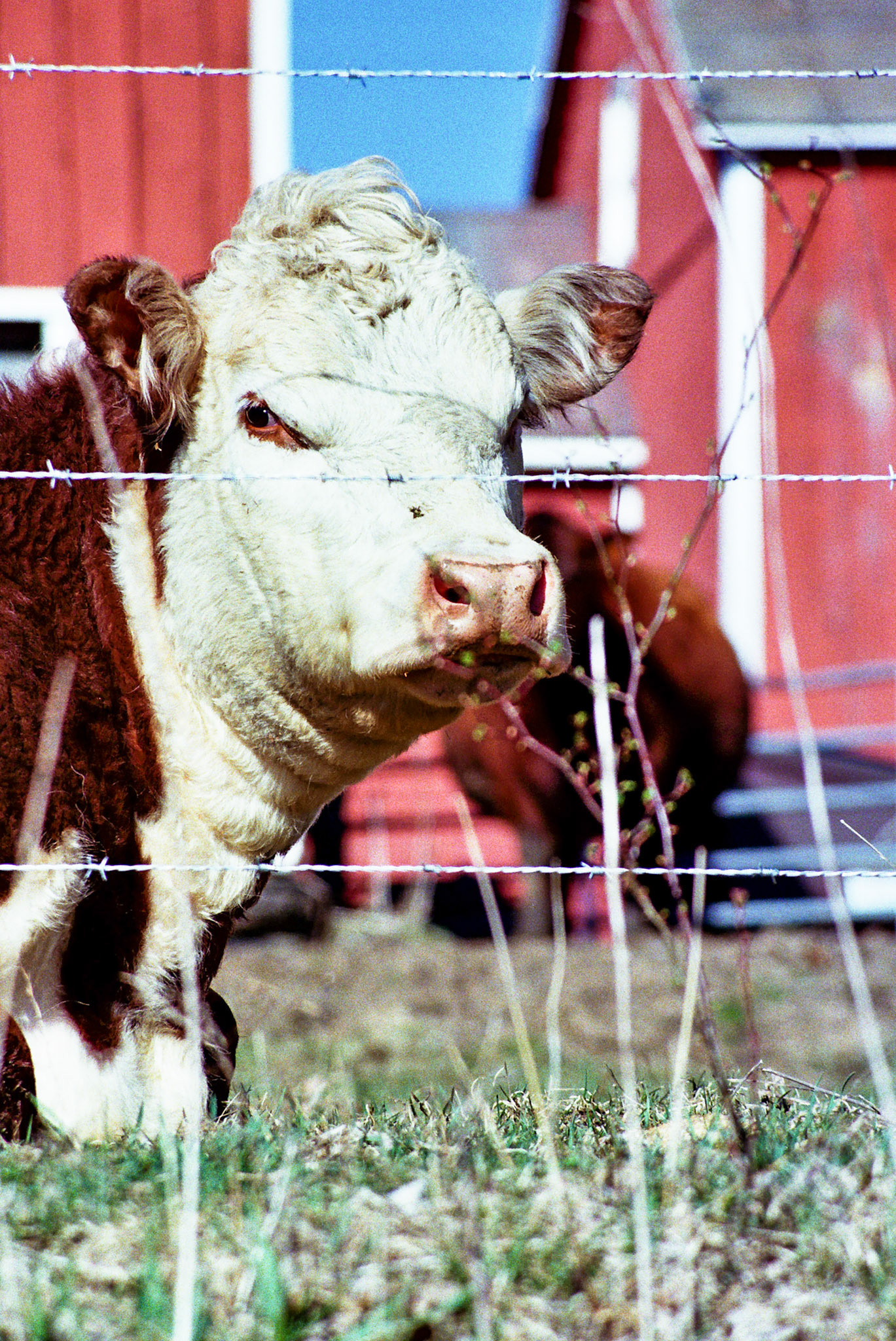 Autosave-File vom d-lab2/3 der AgfaPhoto GmbH