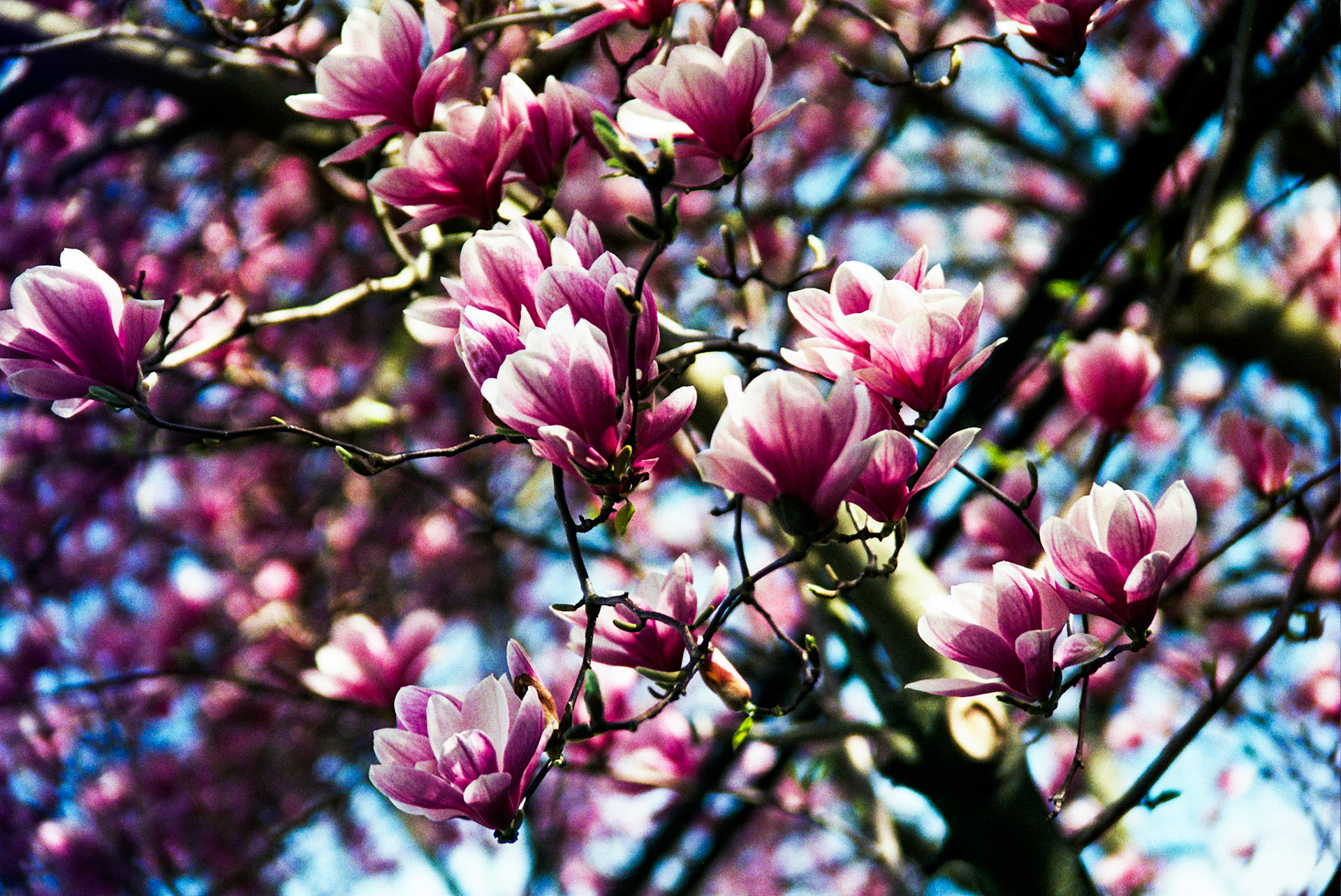 Autosave-File vom d-lab2/3 der AgfaPhoto GmbH