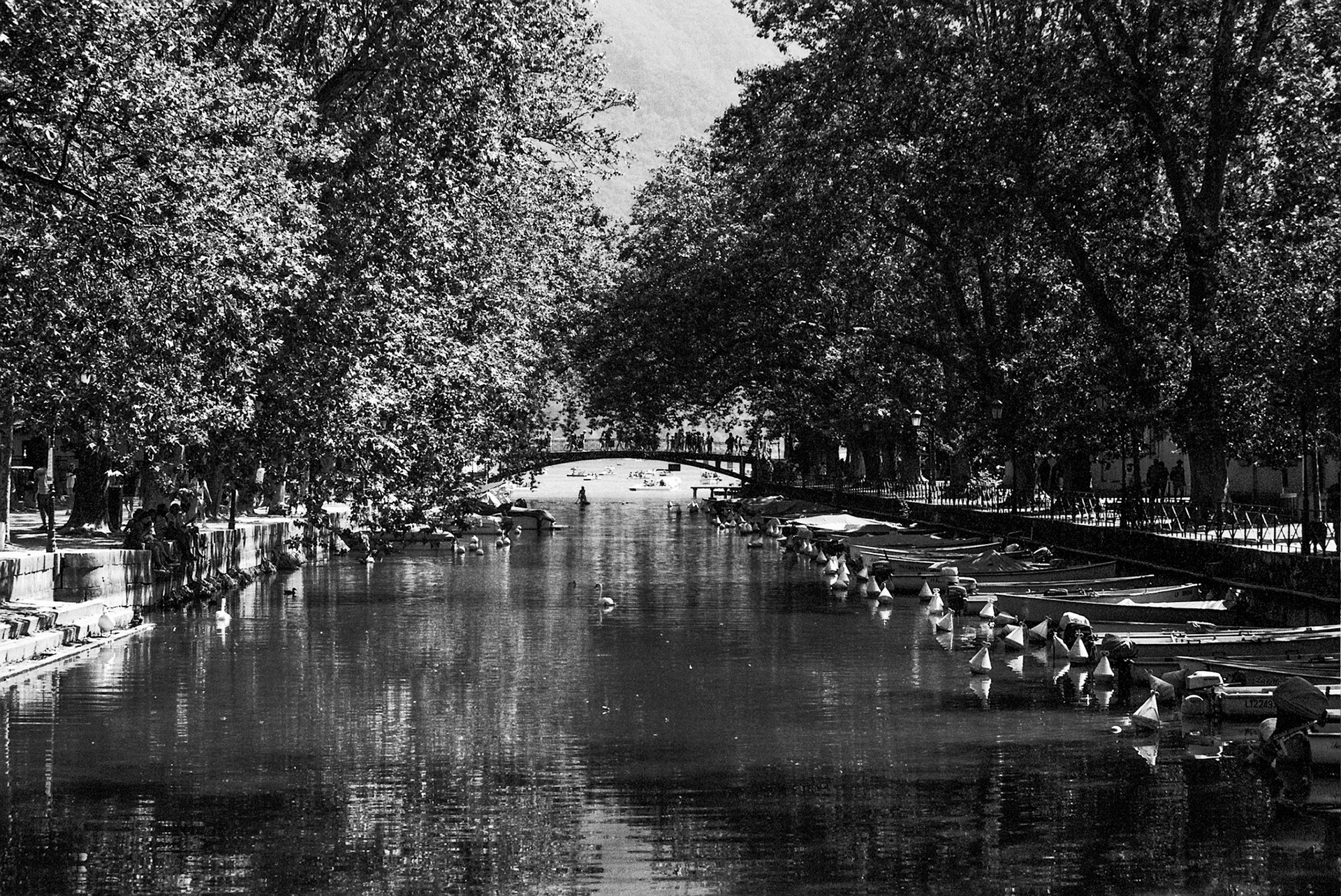 Autosave-File vom d-lab2/3 der AgfaPhoto GmbH