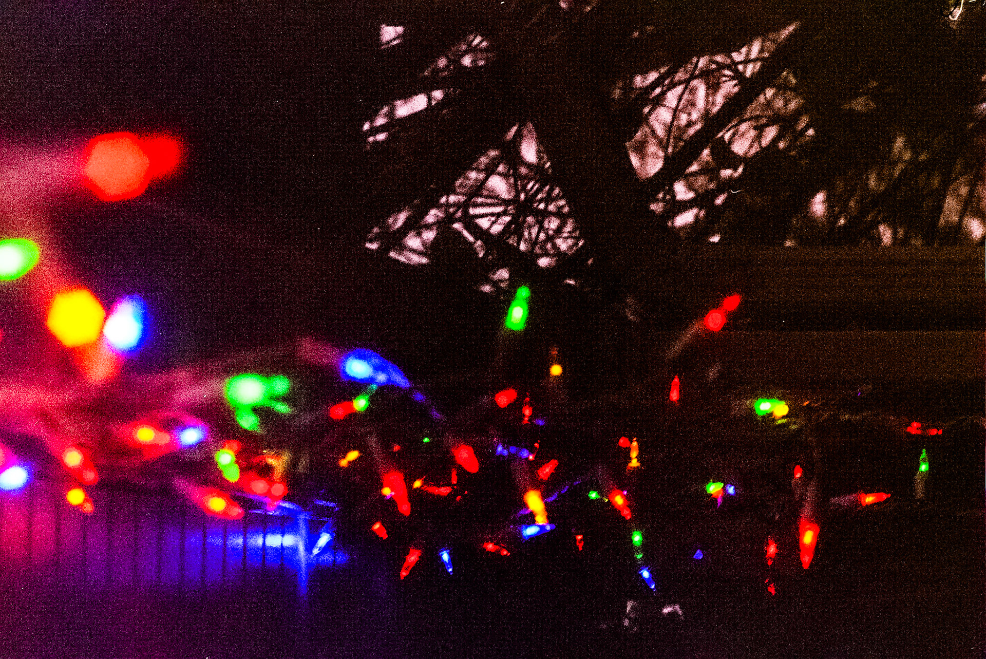 Autosave-File vom d-lab2/3 der AgfaPhoto GmbH