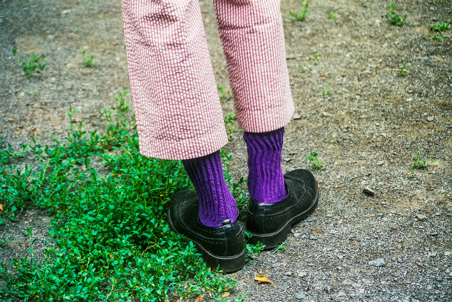 Autosave-File vom d-lab2/3 der AgfaPhoto GmbH