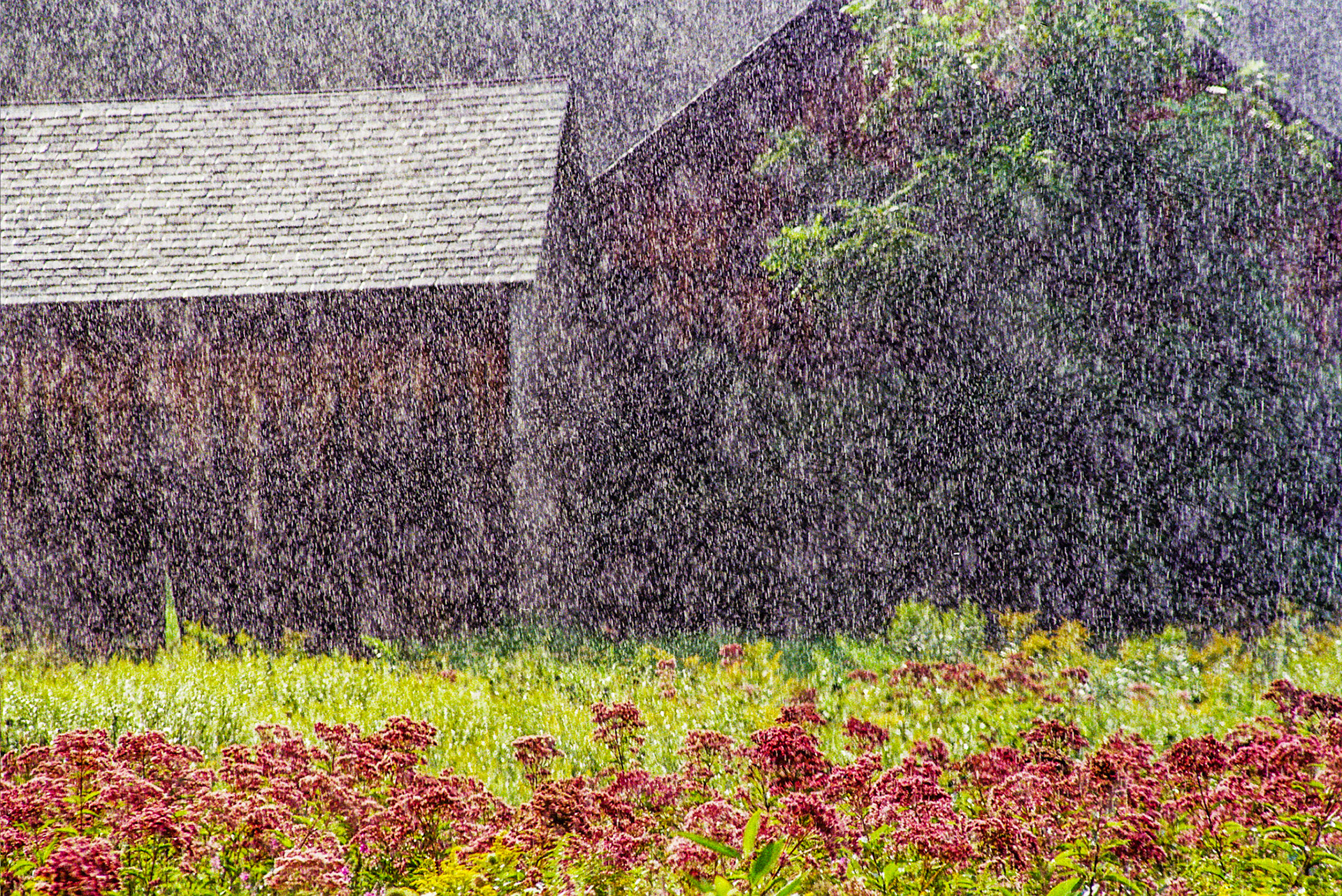 Autosave-File vom d-lab2/3 der AgfaPhoto GmbH