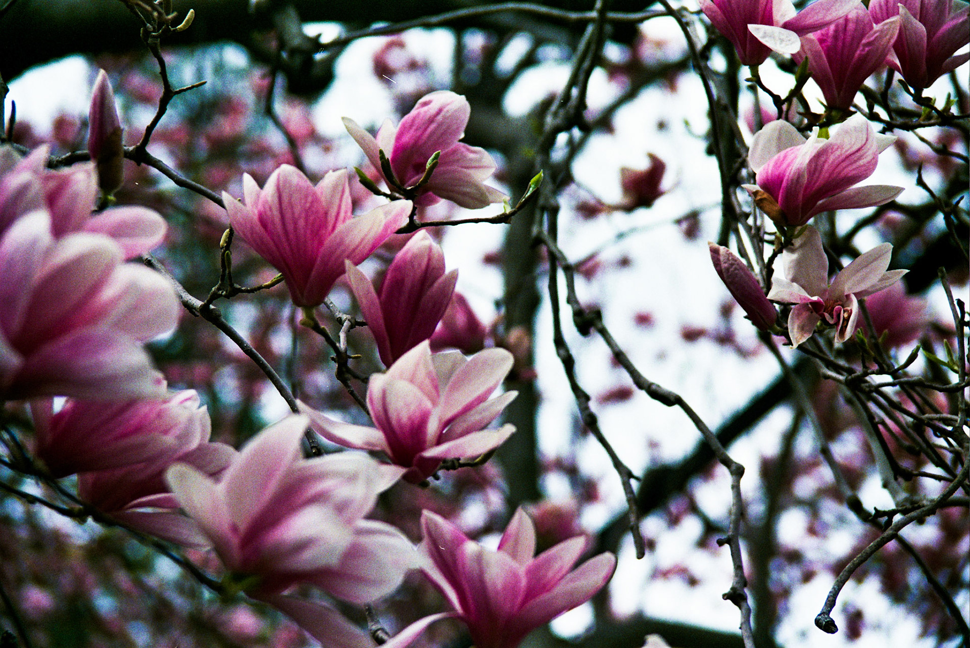 Autosave-File vom d-lab2/3 der AgfaPhoto GmbH