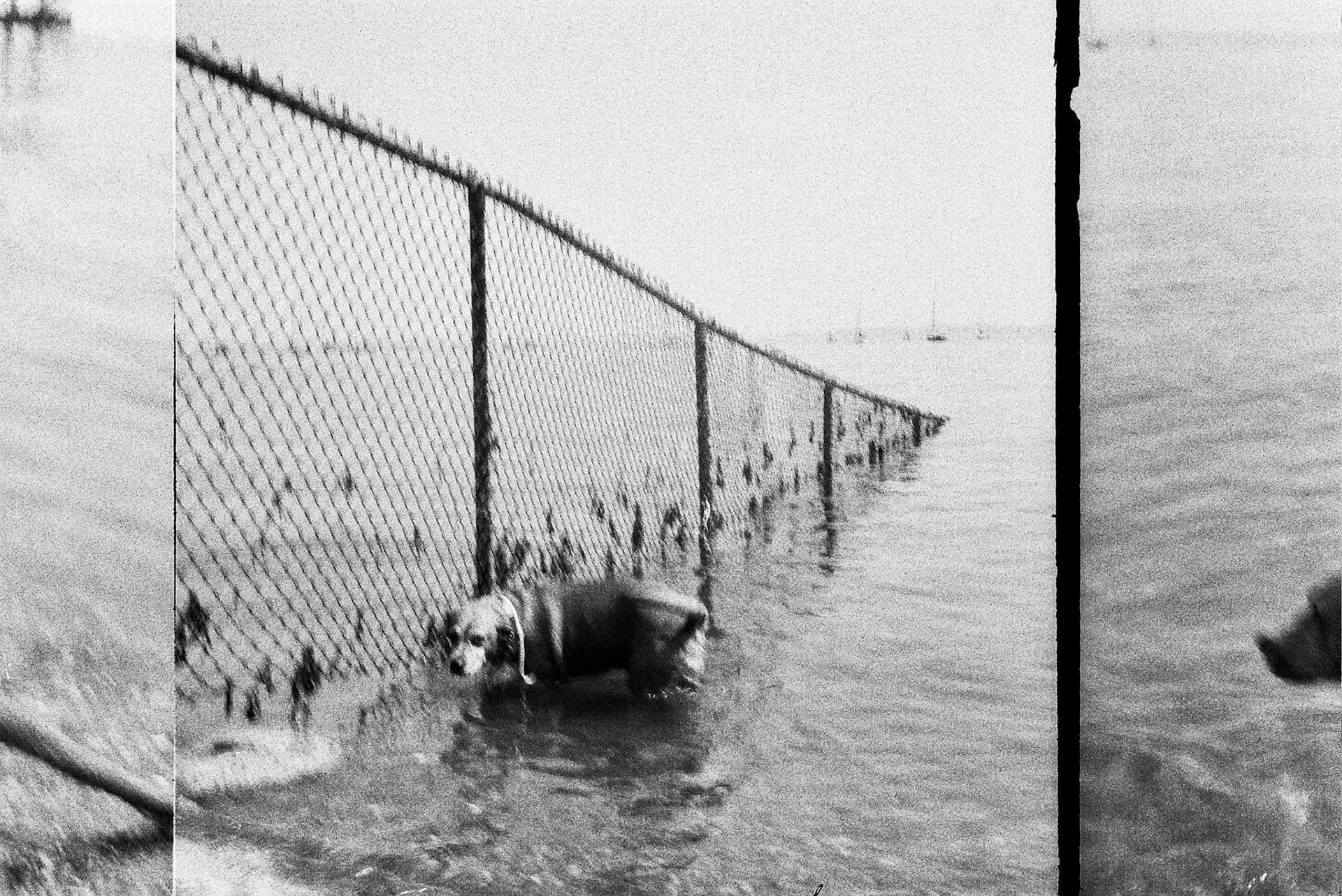 Autosave-File vom d-lab2/3 der AgfaPhoto GmbH