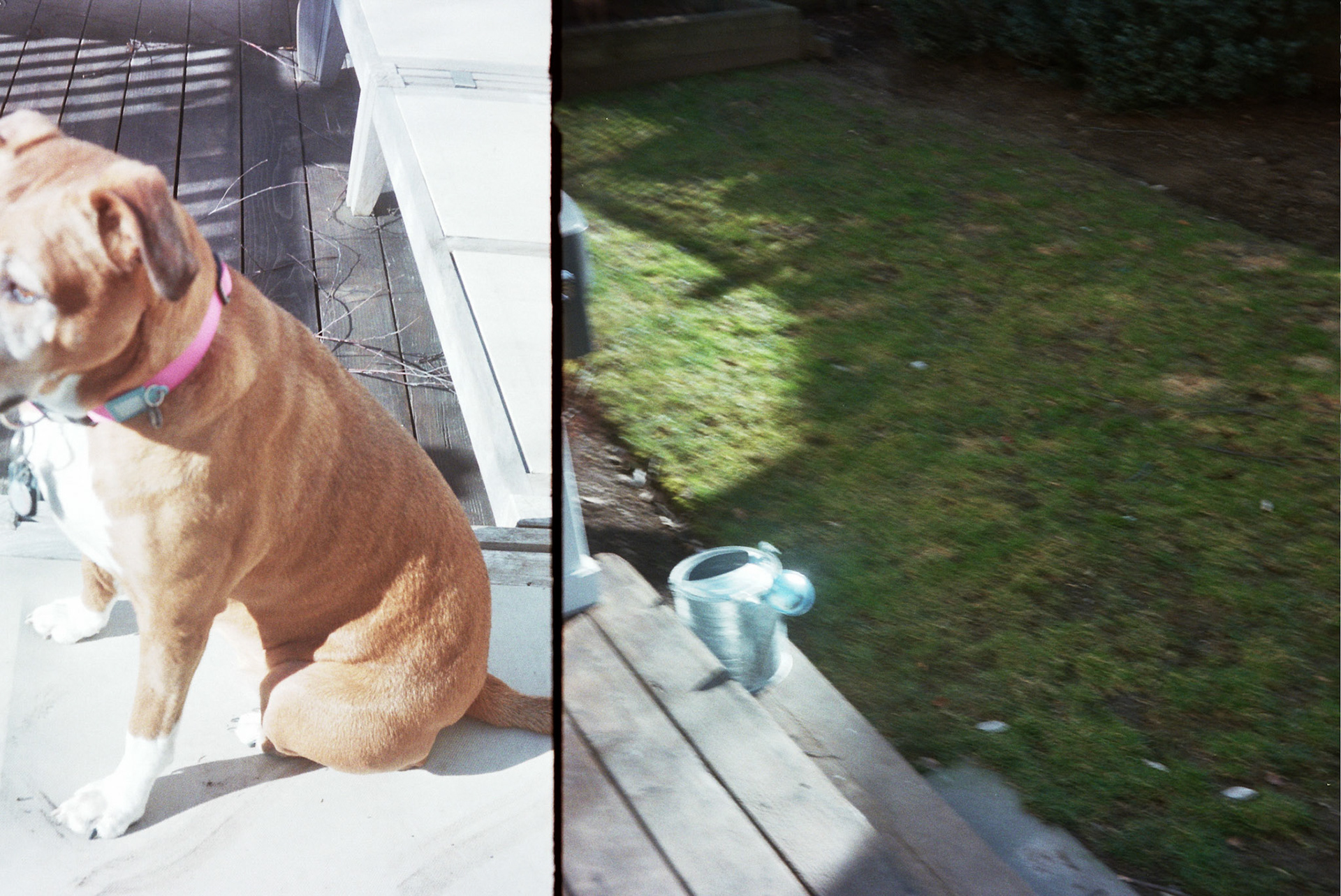 Autosave-File vom d-lab2/3 der AgfaPhoto GmbH