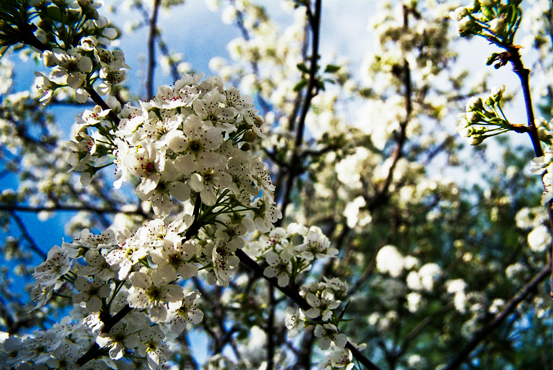 Autosave-File vom d-lab2/3 der AgfaPhoto GmbH