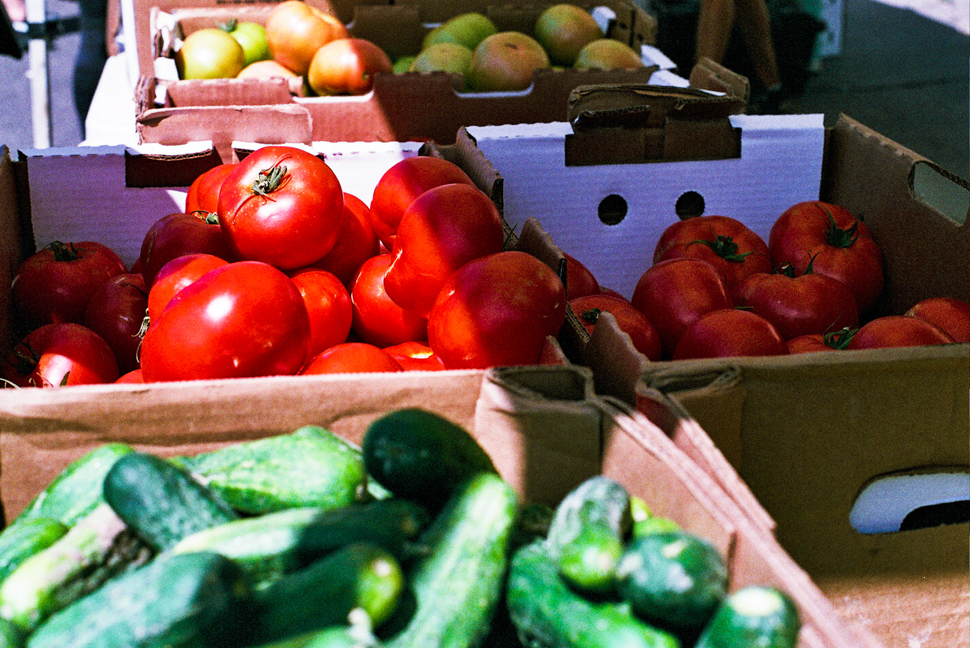 Autosave-File vom d-lab2/3 der AgfaPhoto GmbH