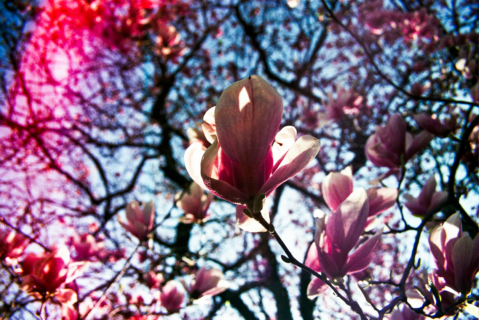 Autosave-File vom d-lab2/3 der AgfaPhoto GmbH