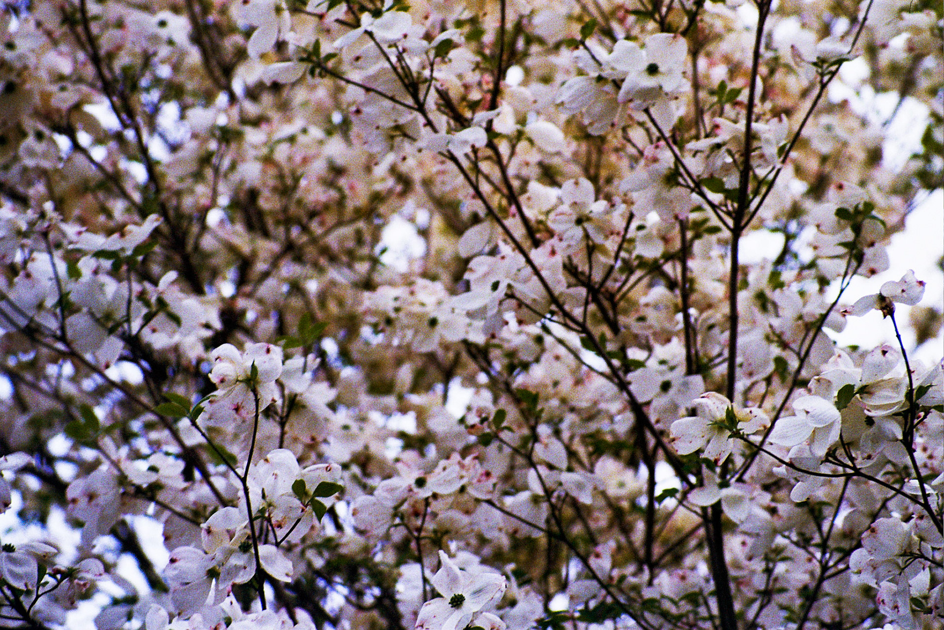 Autosave-File vom d-lab2/3 der AgfaPhoto GmbH