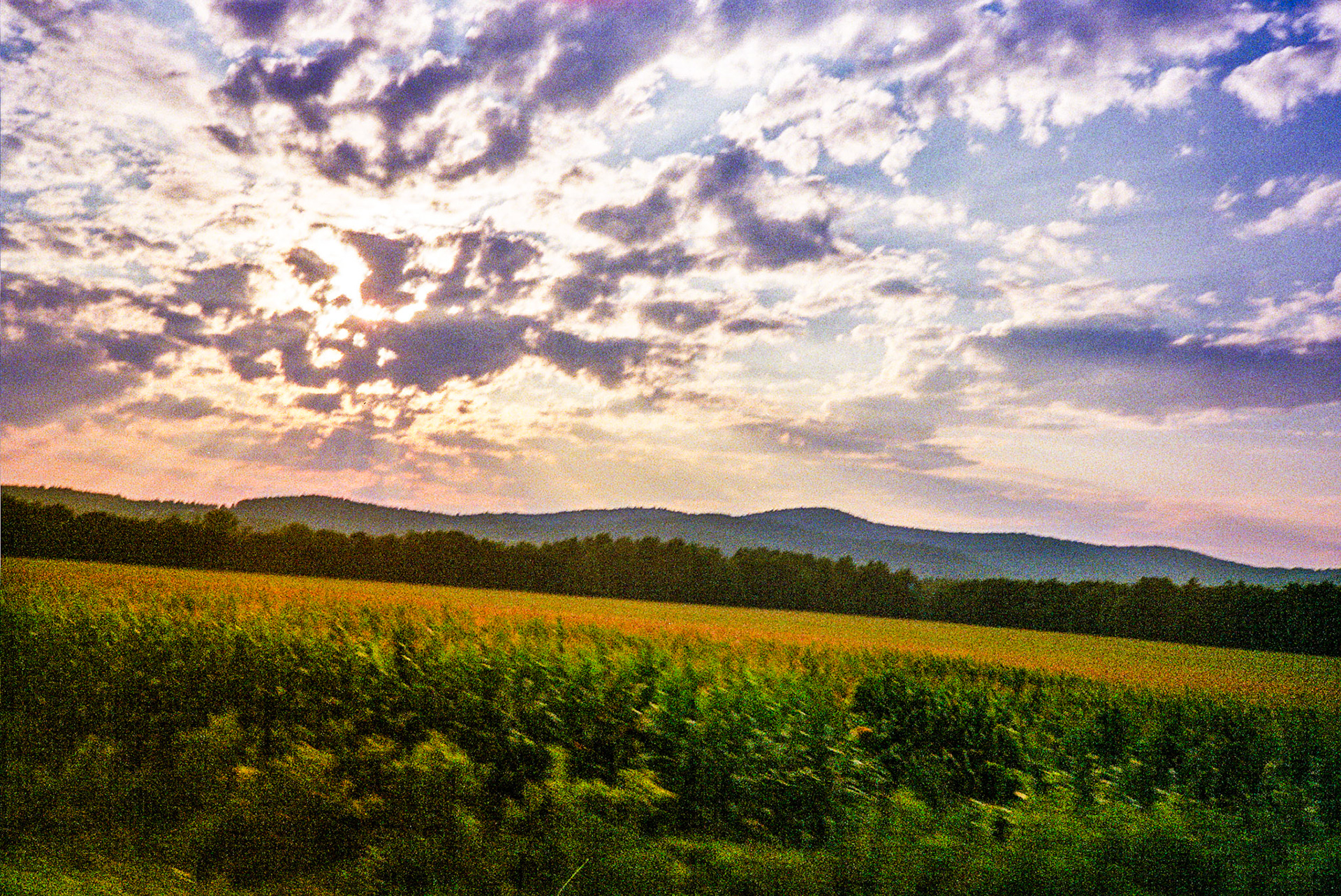 Autosave-File vom d-lab2/3 der AgfaPhoto GmbH