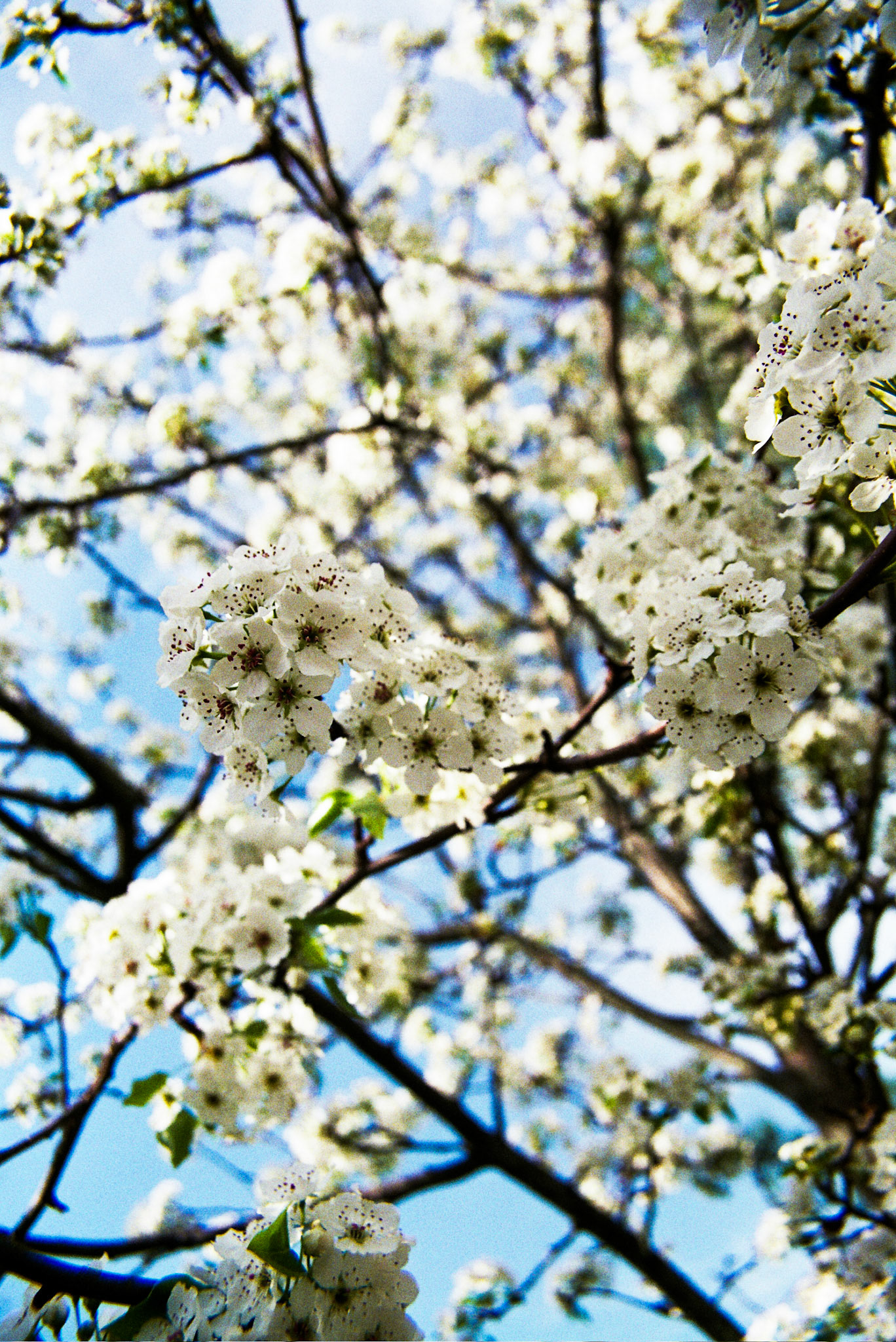 Autosave-File vom d-lab2/3 der AgfaPhoto GmbH