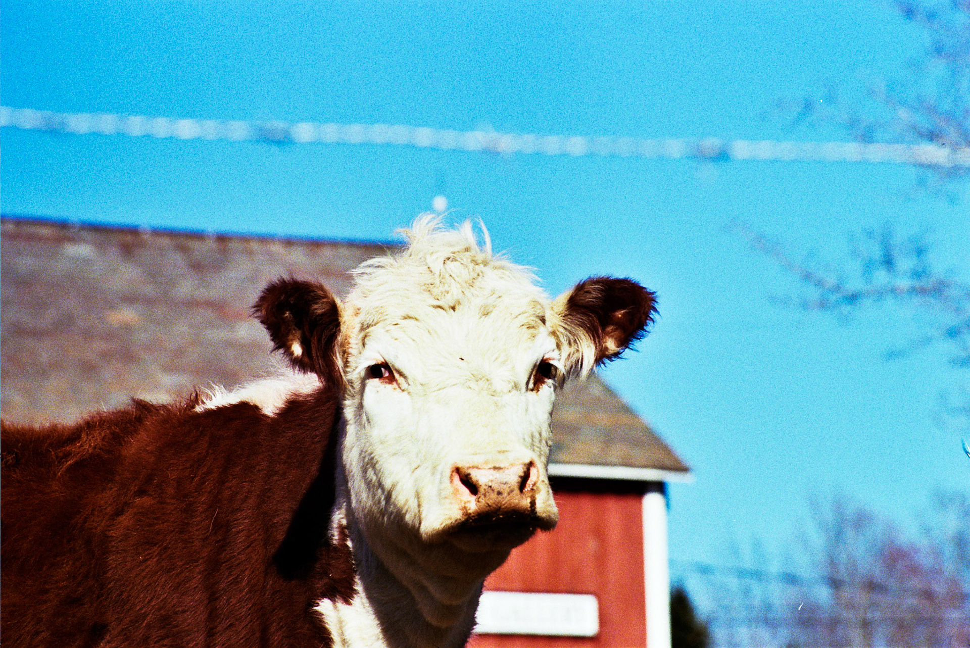 Autosave-File vom d-lab2/3 der AgfaPhoto GmbH