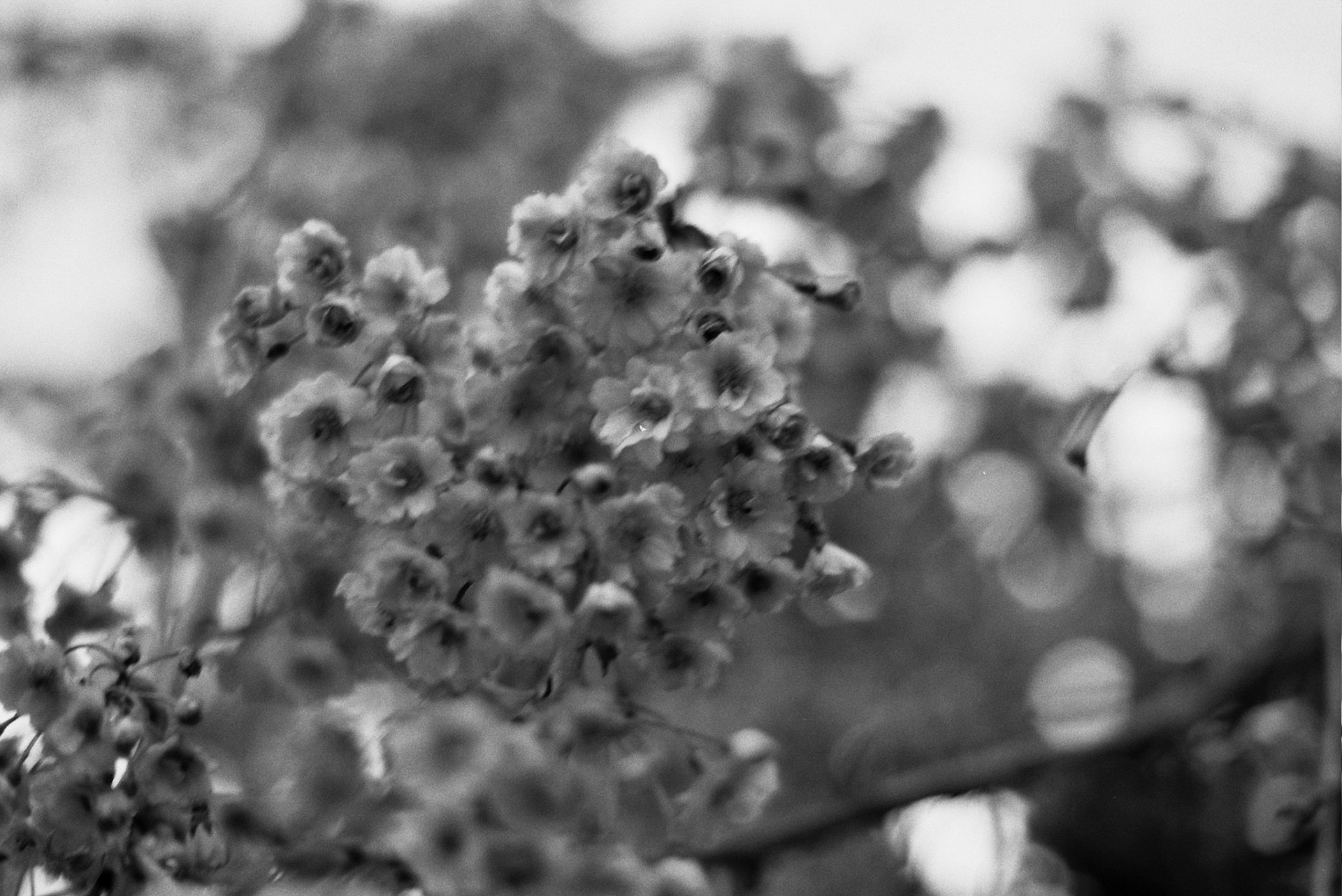 Autosave-File vom d-lab2/3 der AgfaPhoto GmbH