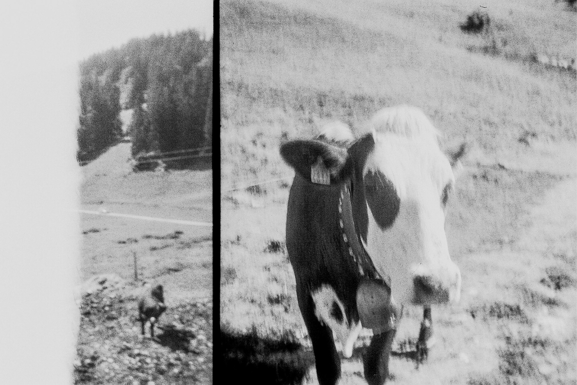 Autosave-File vom d-lab2/3 der AgfaPhoto GmbH