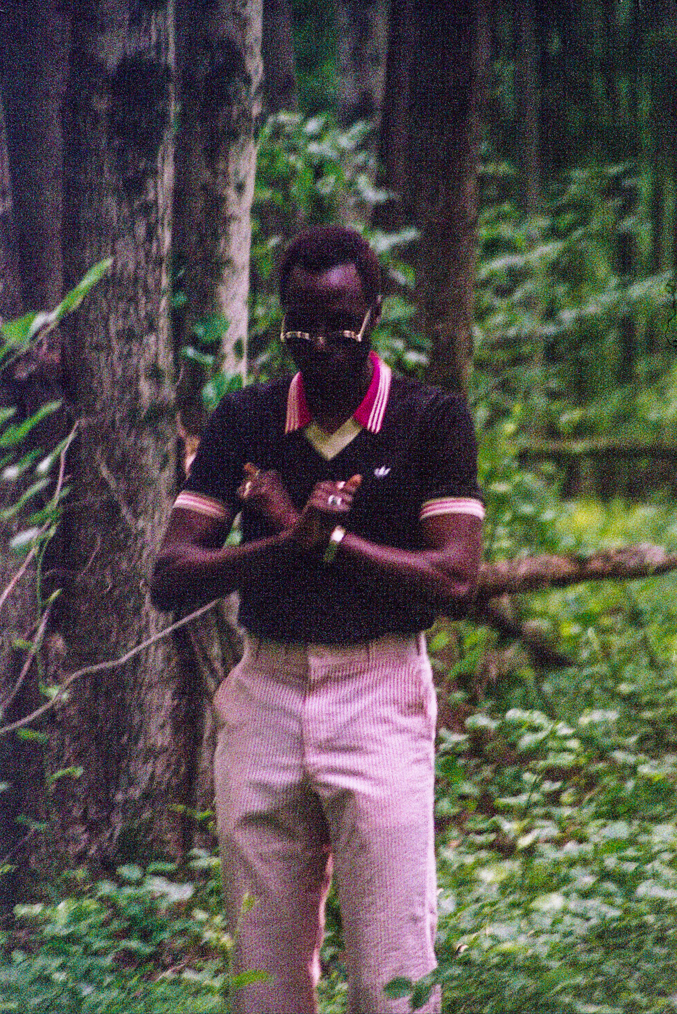 Autosave-File vom d-lab2/3 der AgfaPhoto GmbH