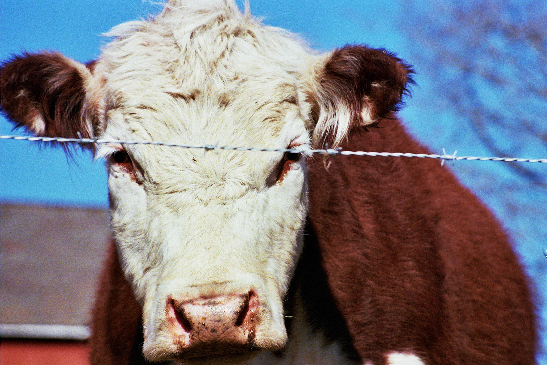 Autosave-File vom d-lab2/3 der AgfaPhoto GmbH