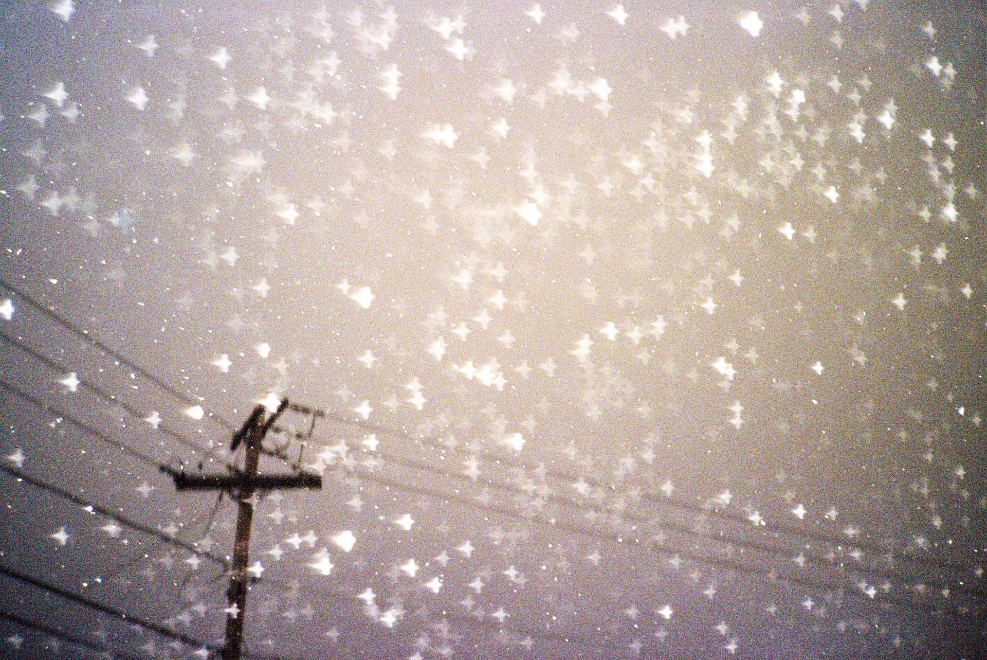 Autosave-File vom d-lab2/3 der AgfaPhoto GmbH