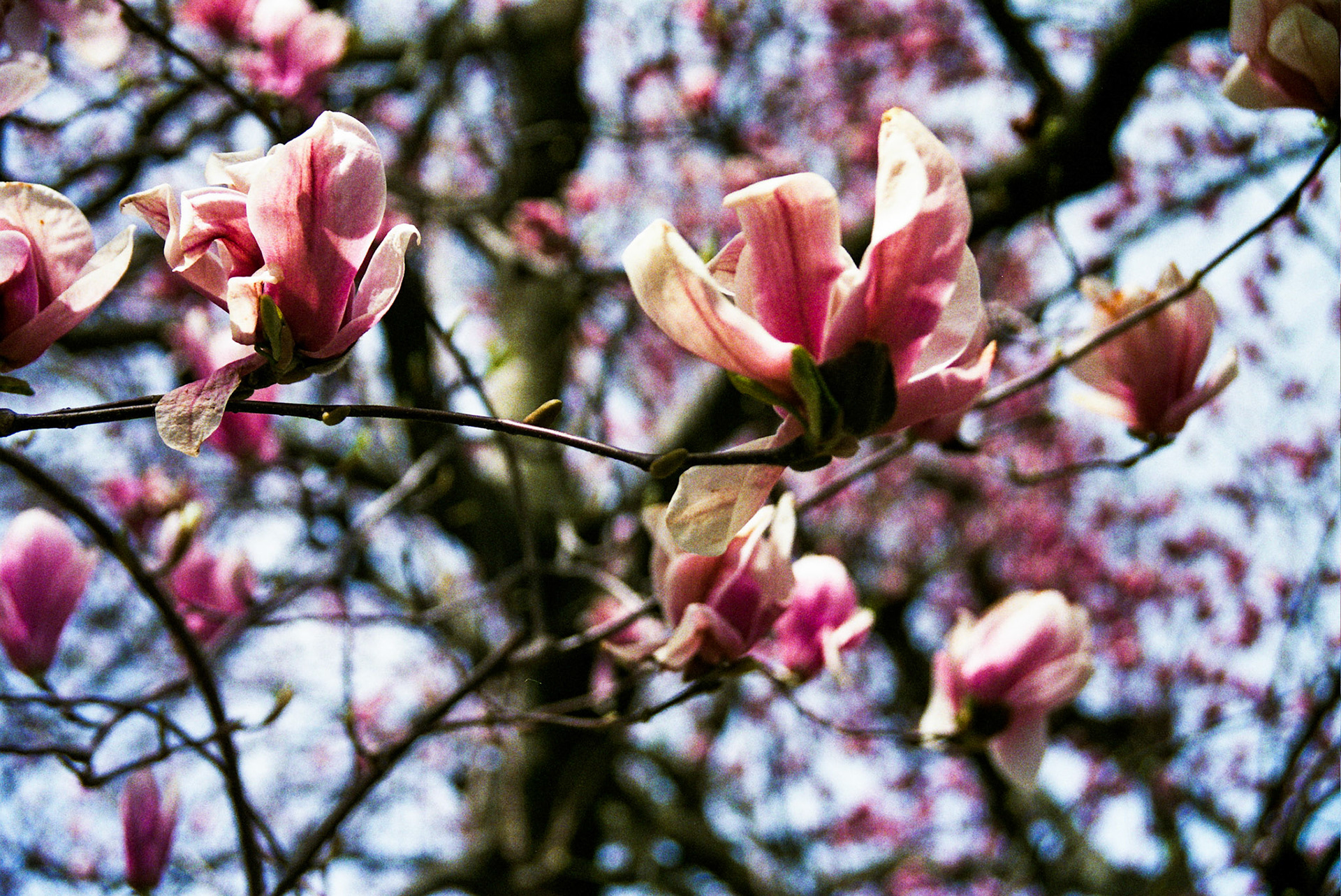 Autosave-File vom d-lab2/3 der AgfaPhoto GmbH