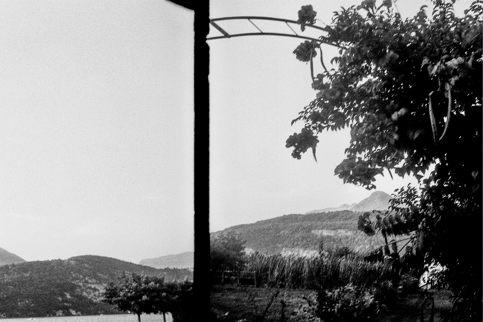 Autosave-File vom d-lab2/3 der AgfaPhoto GmbH