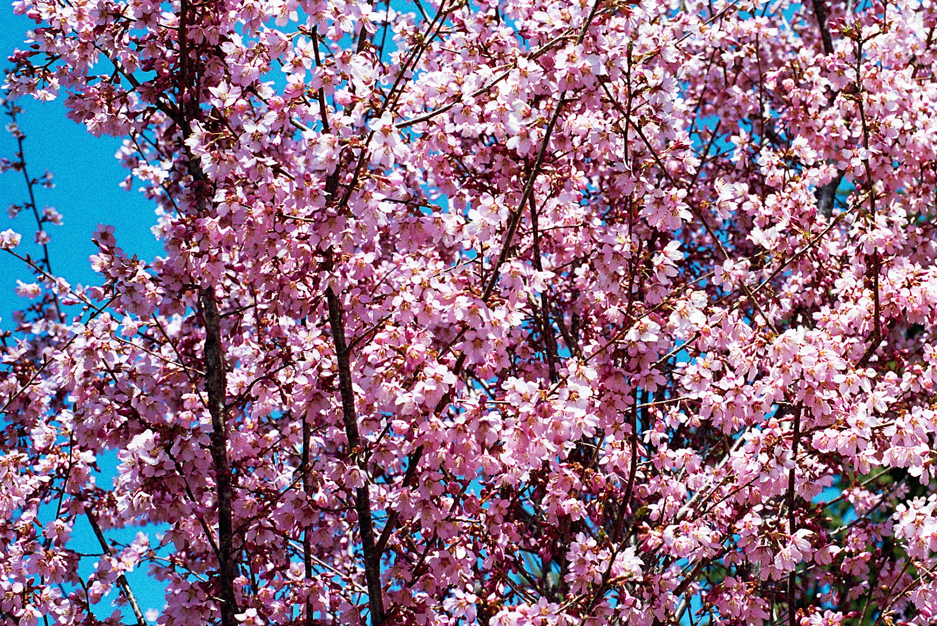 Autosave-File vom d-lab2/3 der AgfaPhoto GmbH