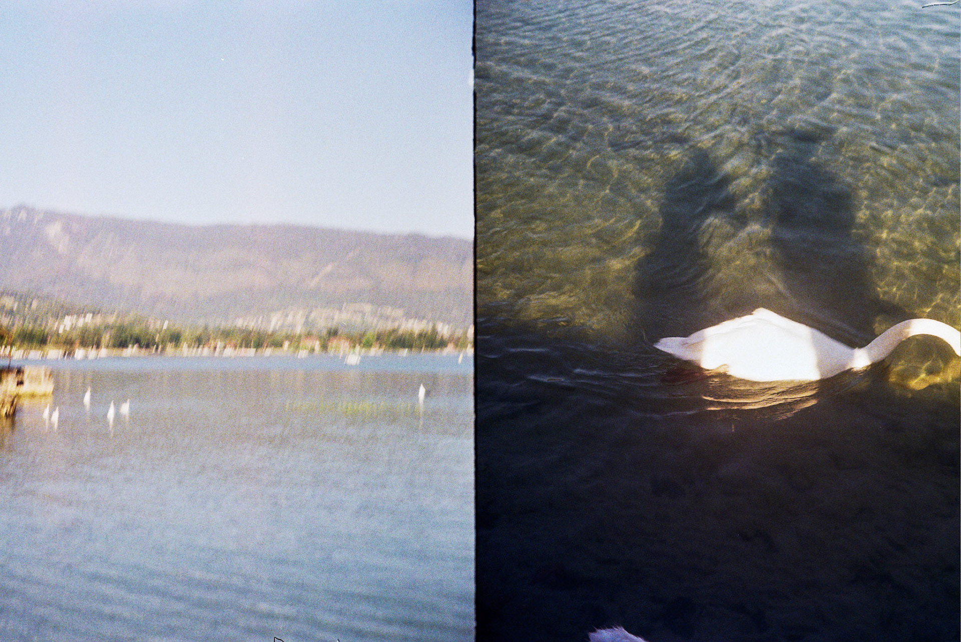 Autosave-File vom d-lab2/3 der AgfaPhoto GmbH