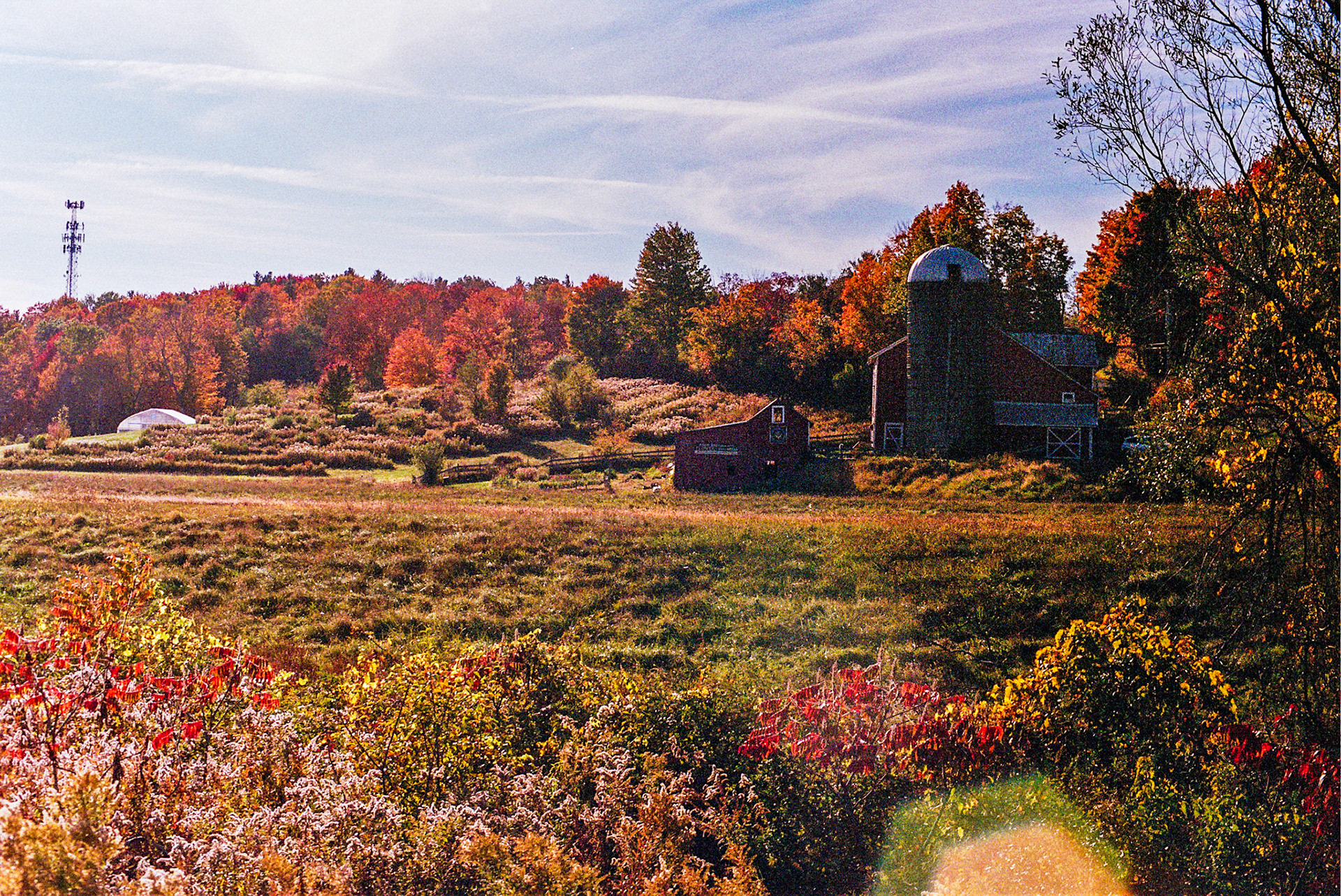 Autosave-File vom d-lab2/3 der AgfaPhoto GmbH