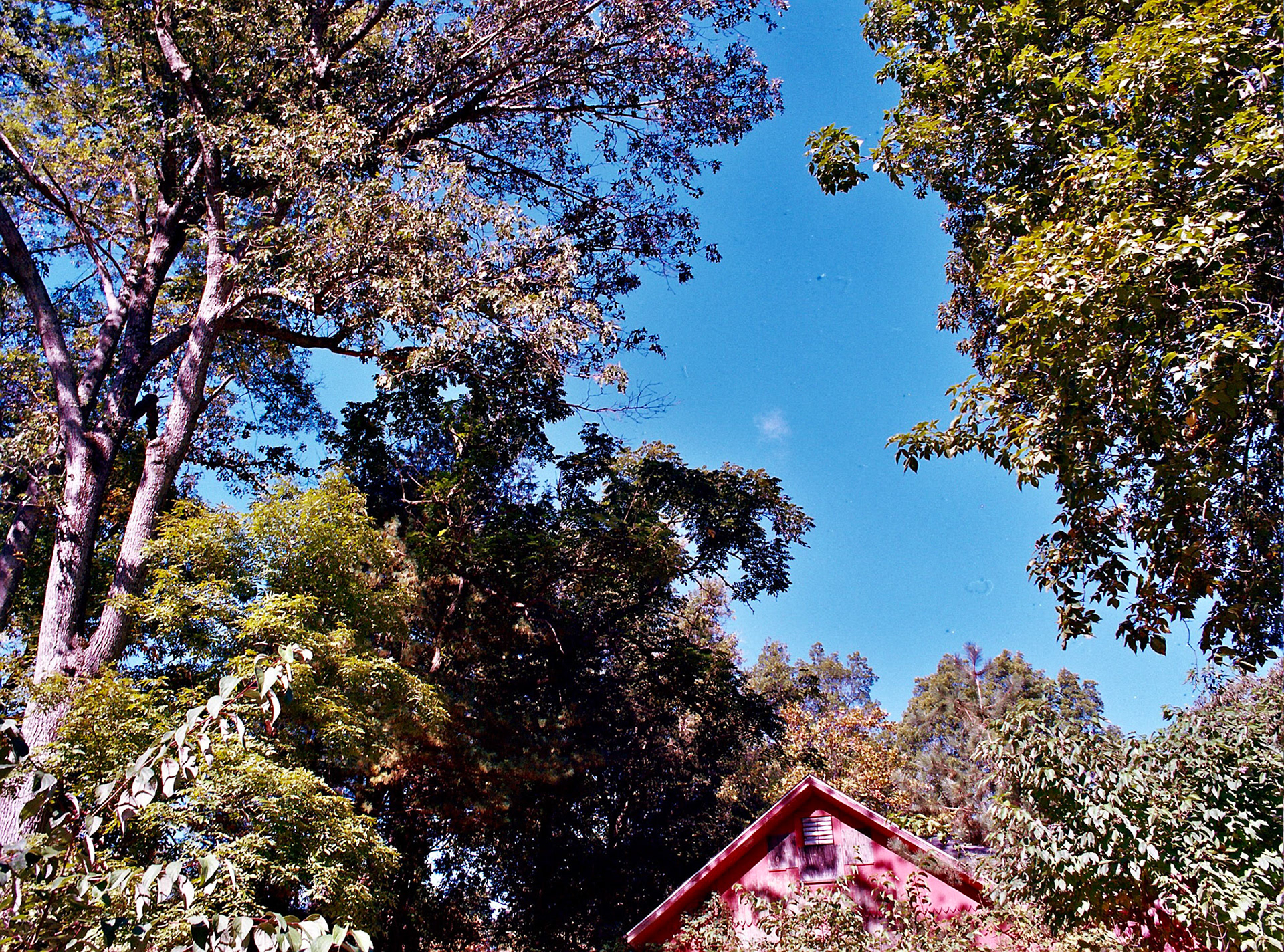 Autosave-File vom d-lab2/3 der AgfaPhoto GmbH