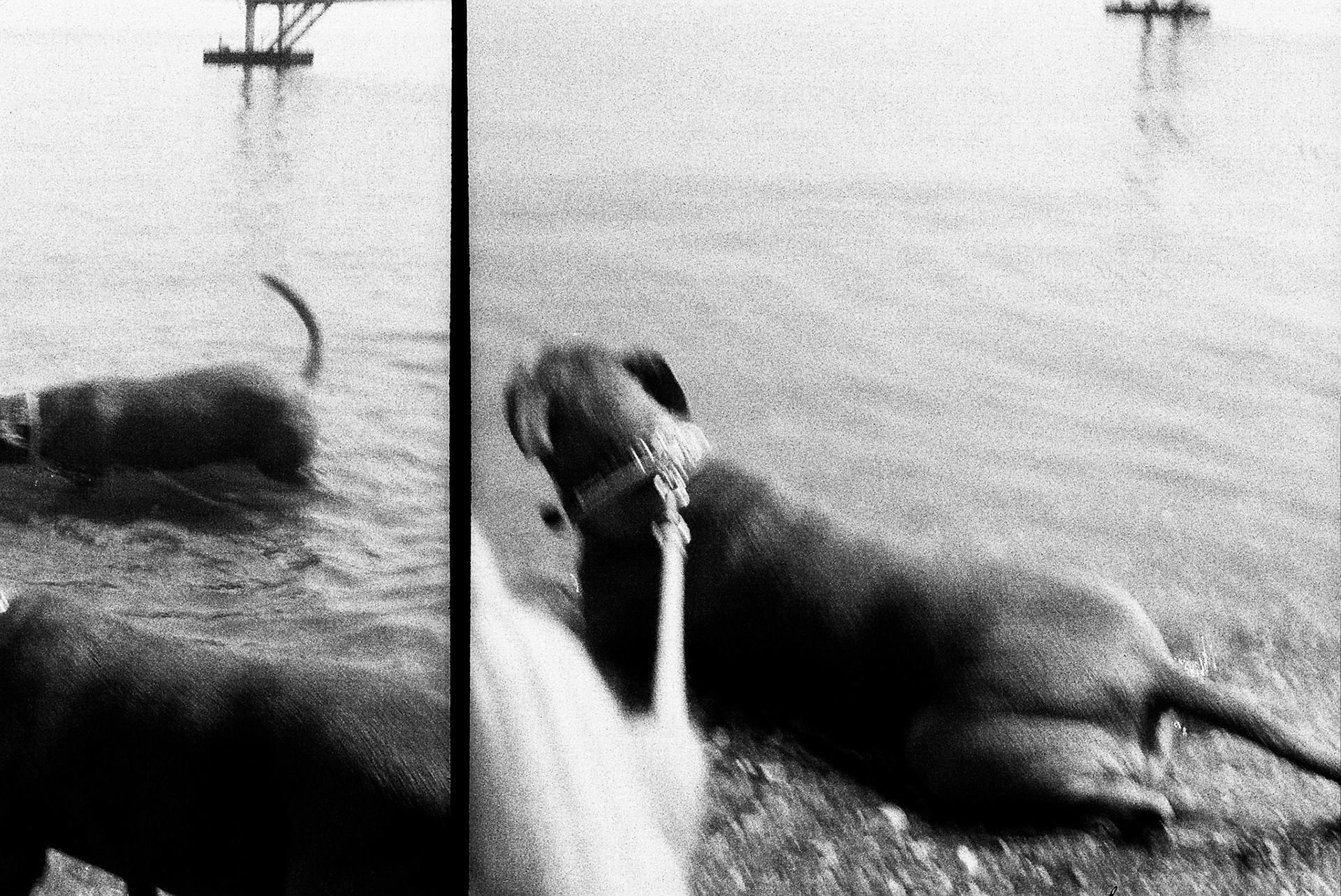 Autosave-File vom d-lab2/3 der AgfaPhoto GmbH