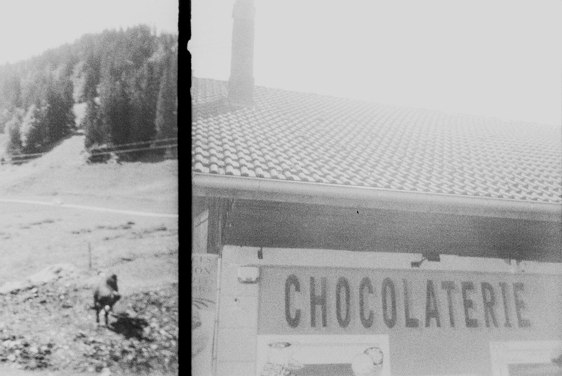 Autosave-File vom d-lab2/3 der AgfaPhoto GmbH