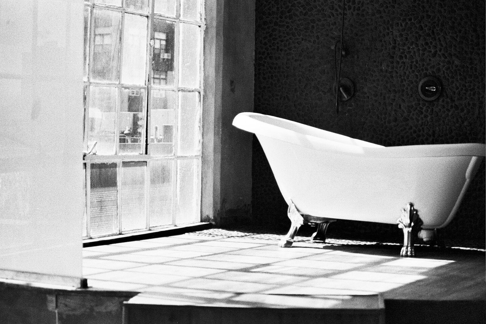 Autosave-File vom d-lab2/3 der AgfaPhoto GmbH