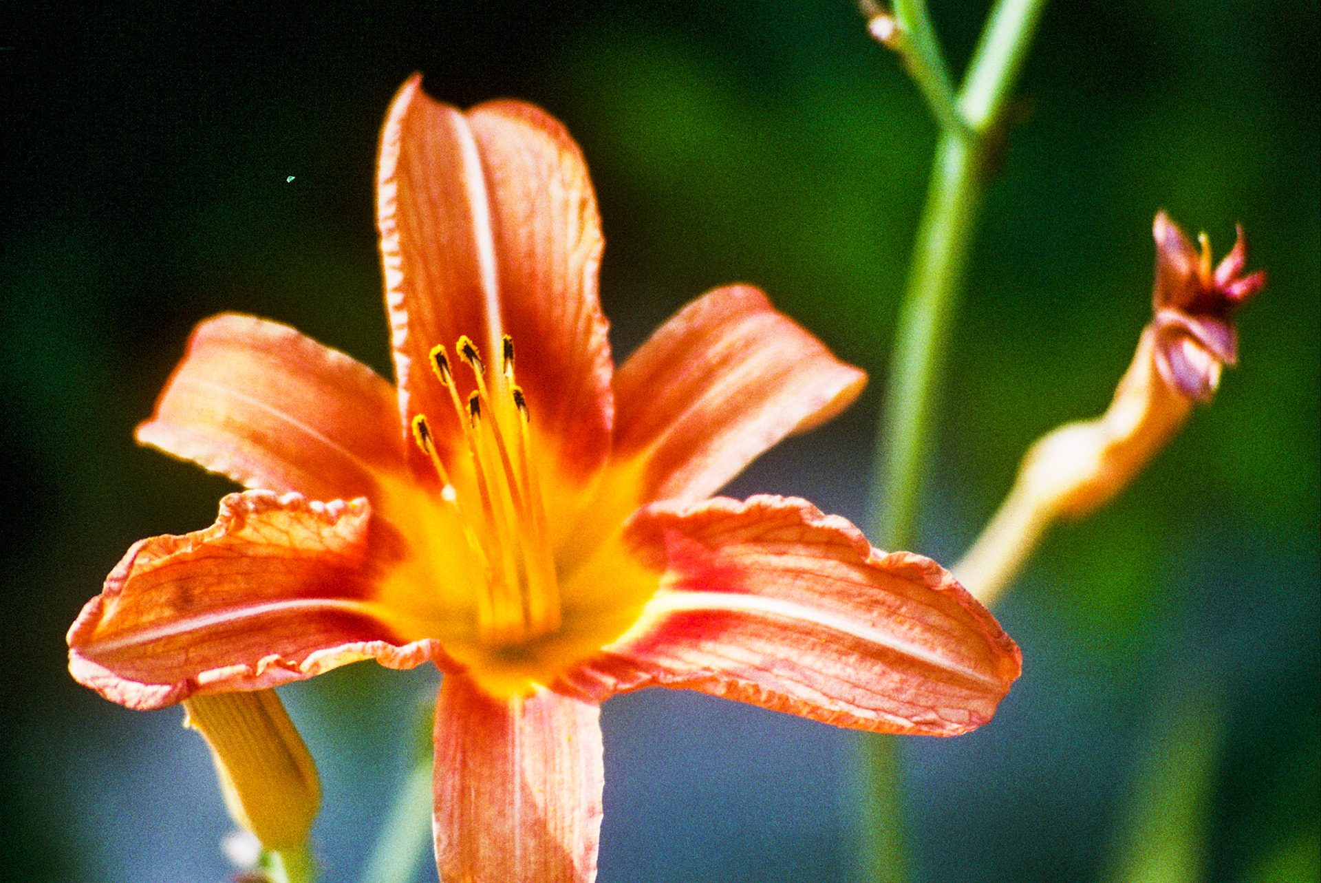 Autosave-File vom d-lab2/3 der AgfaPhoto GmbH