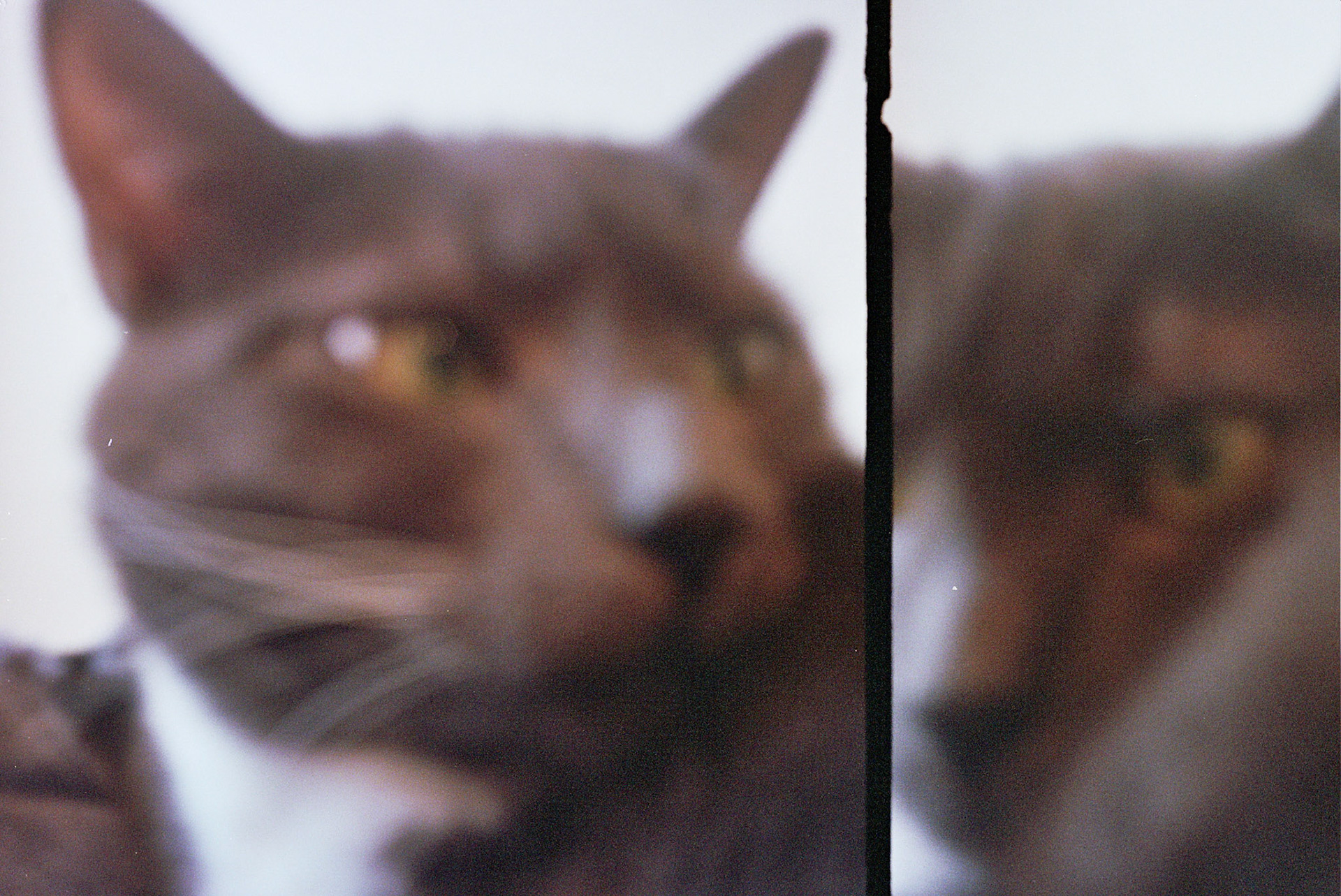 Autosave-File vom d-lab2/3 der AgfaPhoto GmbH