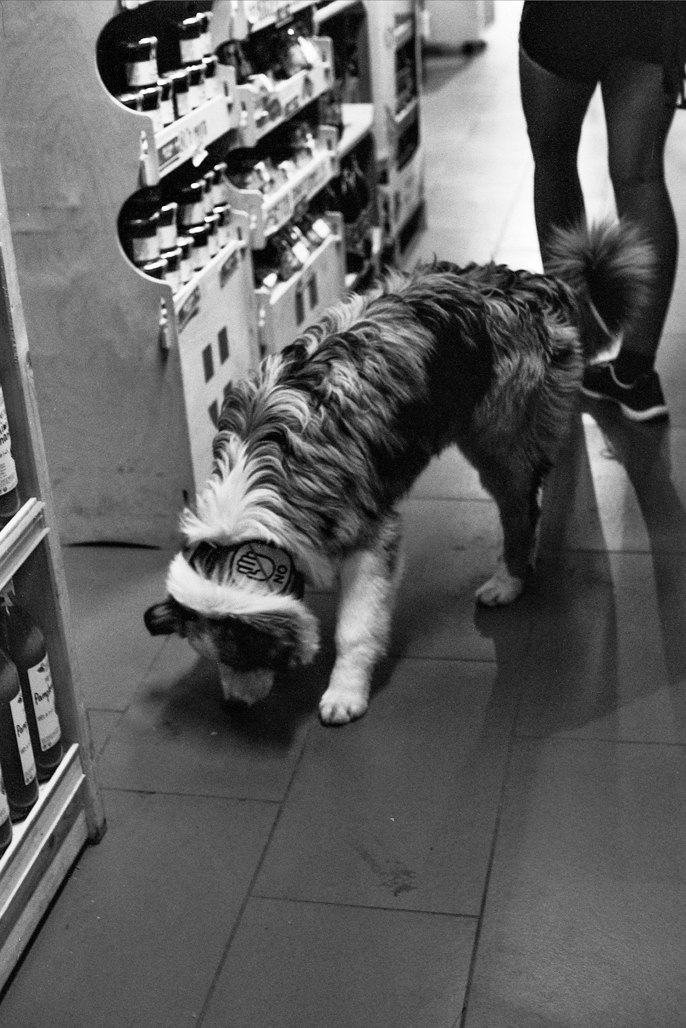 Autosave-File vom d-lab2/3 der AgfaPhoto GmbH