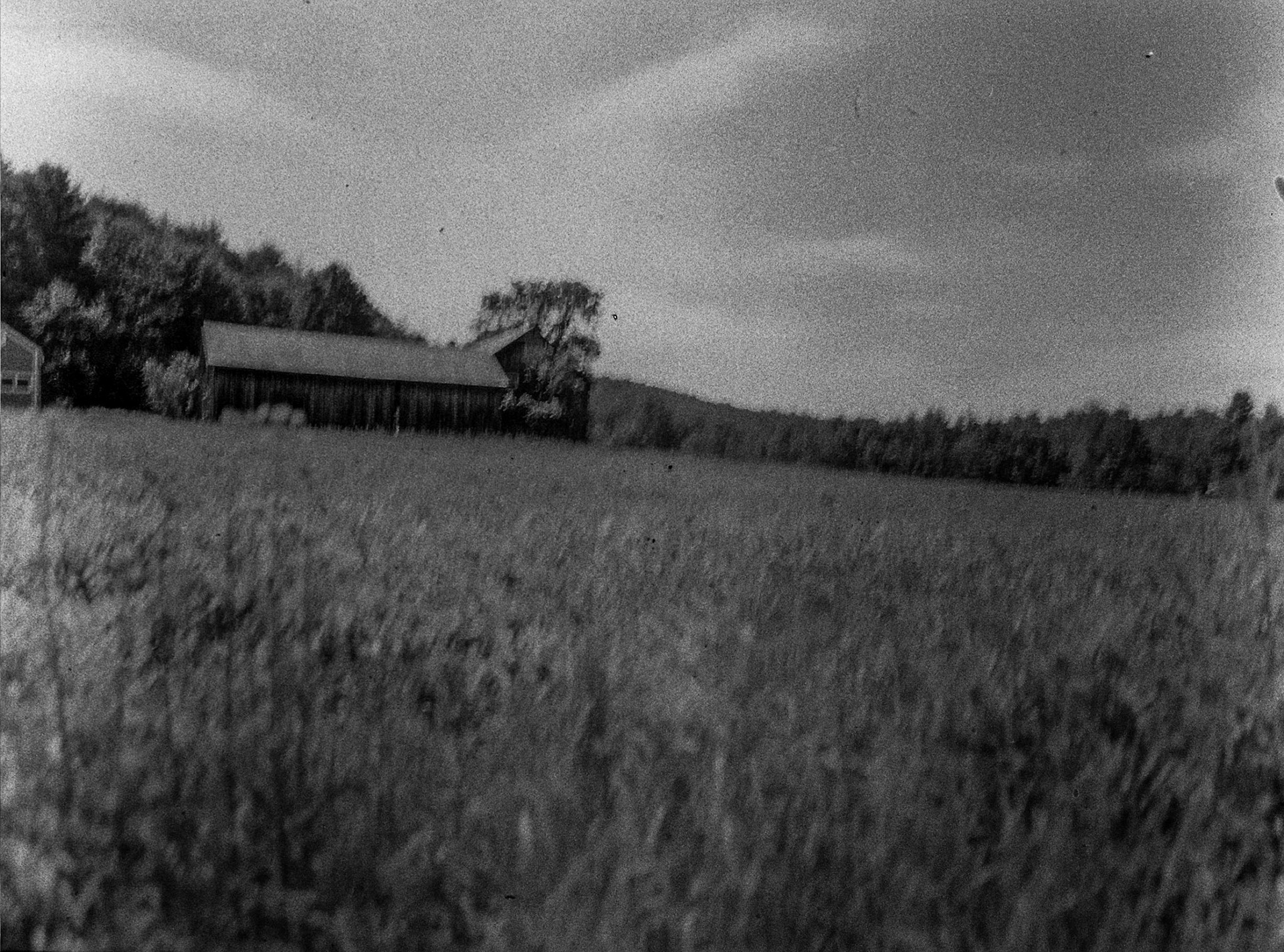 Autosave-File vom d-lab2/3 der AgfaPhoto GmbH