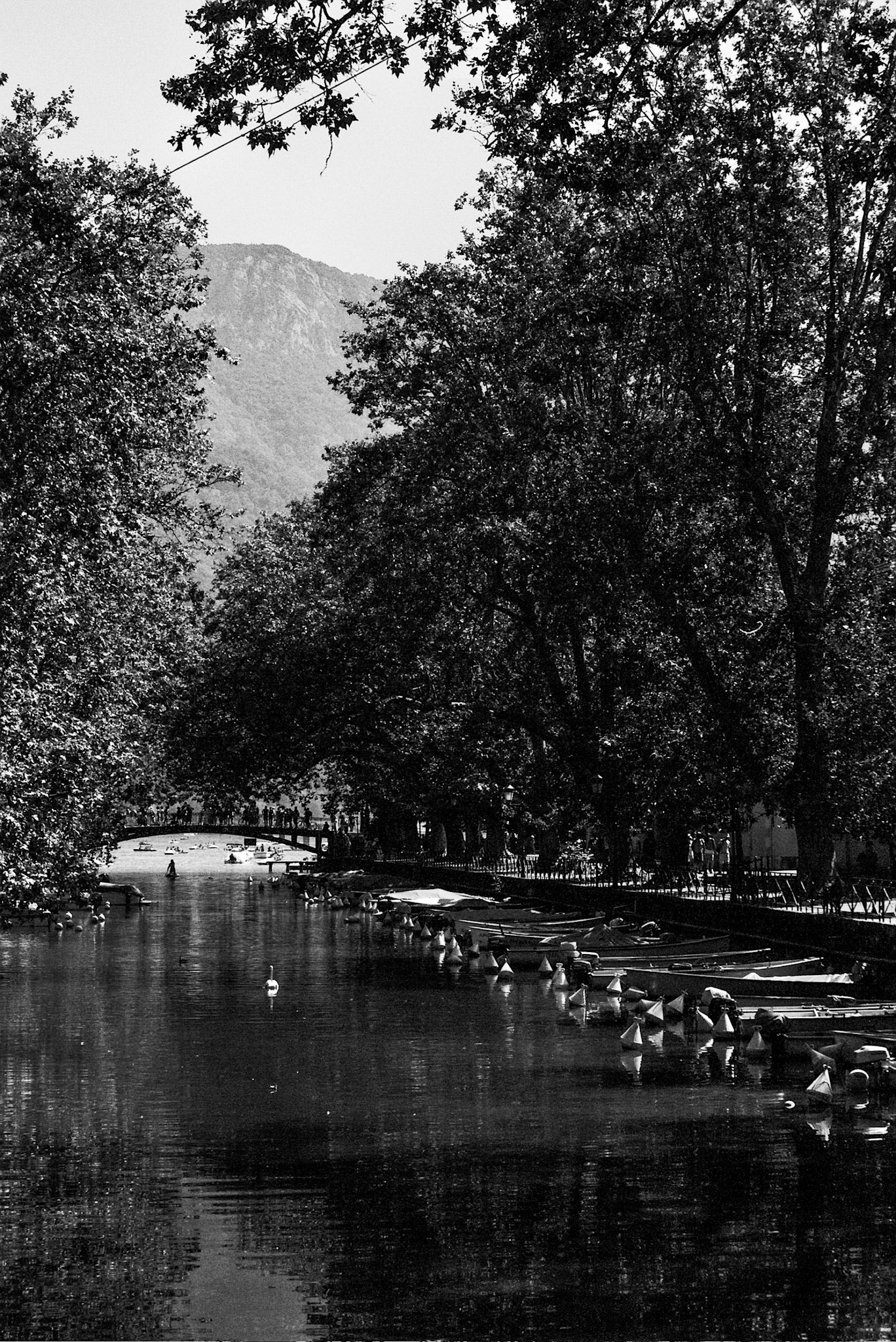 Autosave-File vom d-lab2/3 der AgfaPhoto GmbH