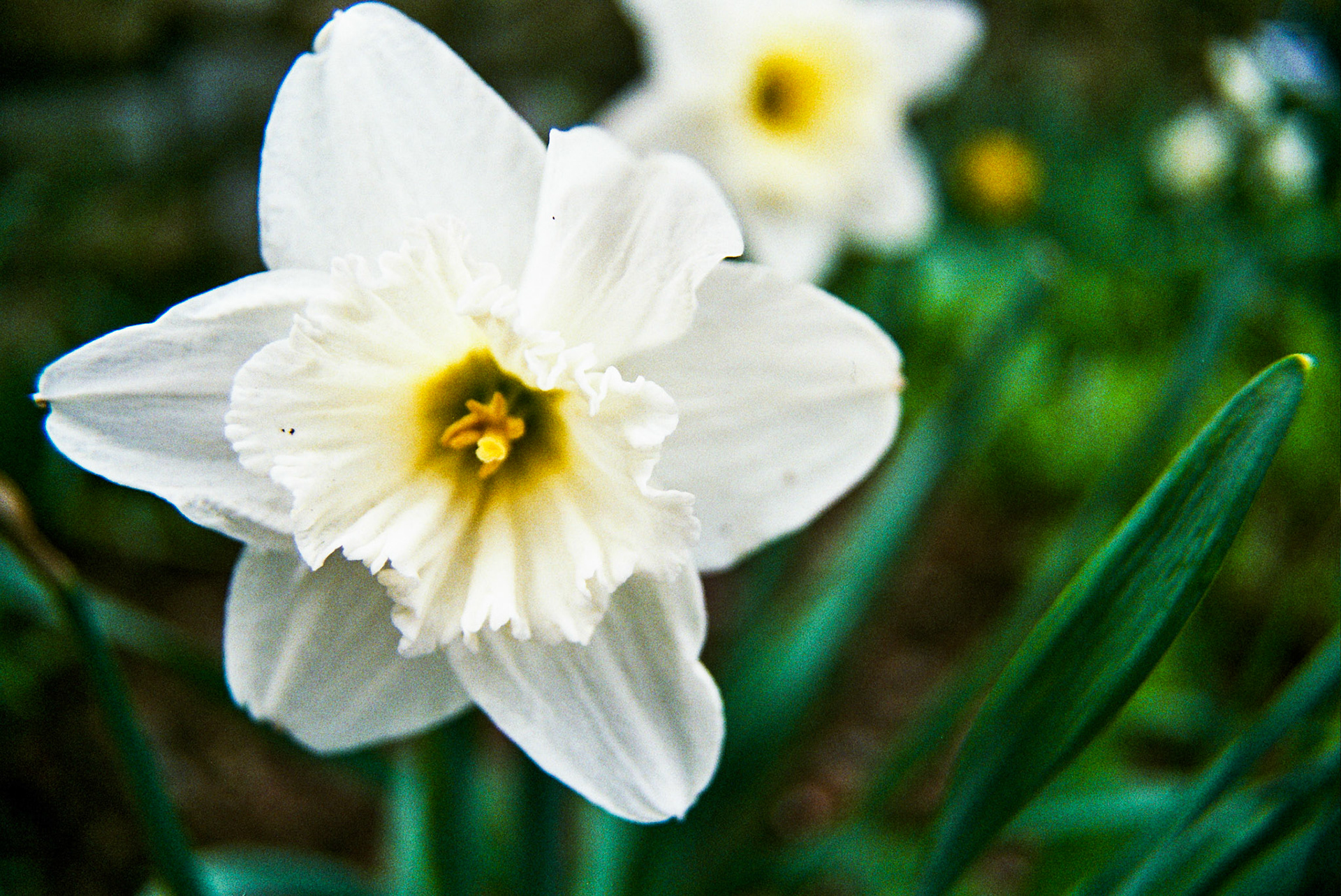 Autosave-File vom d-lab2/3 der AgfaPhoto GmbH