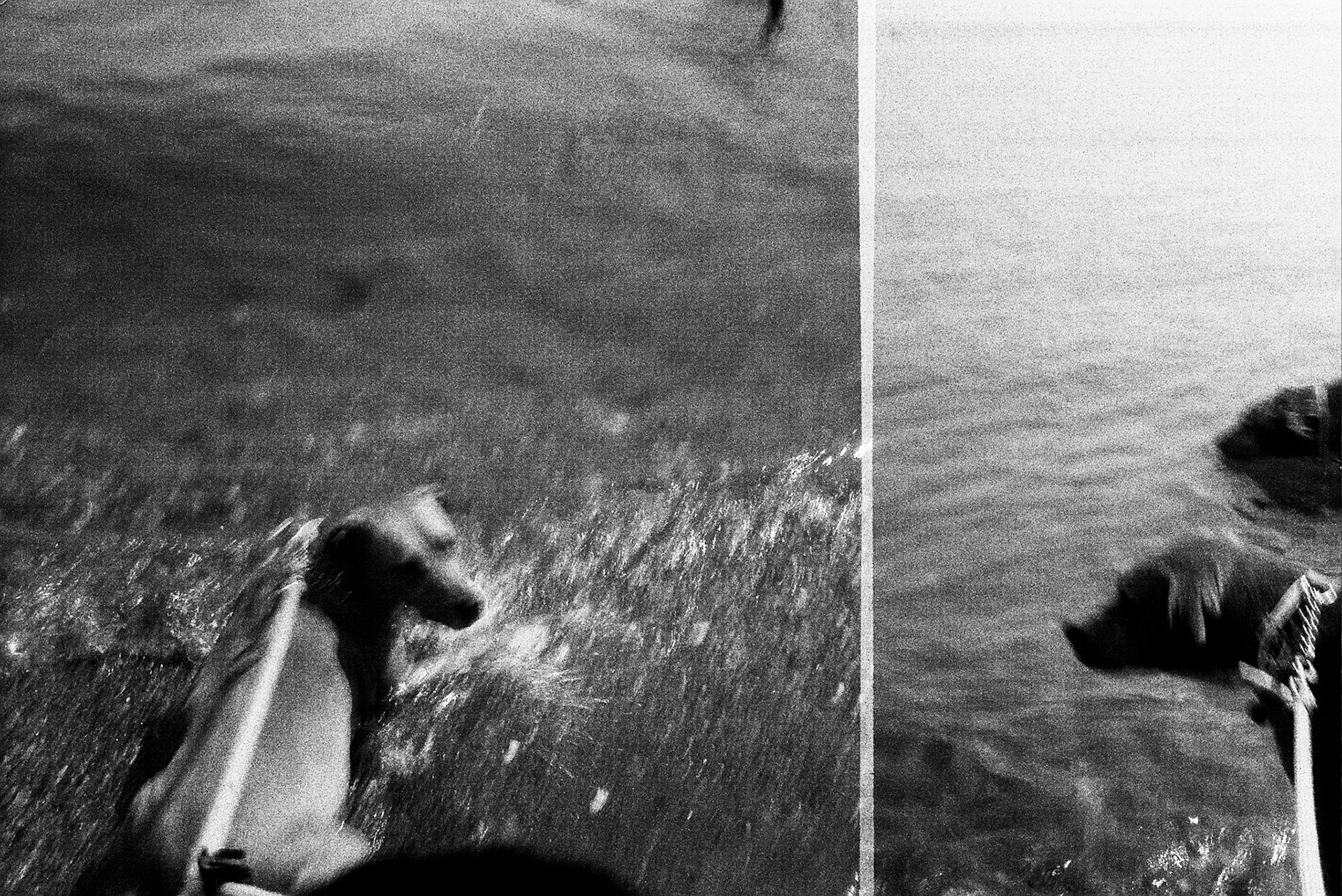 Autosave-File vom d-lab2/3 der AgfaPhoto GmbH