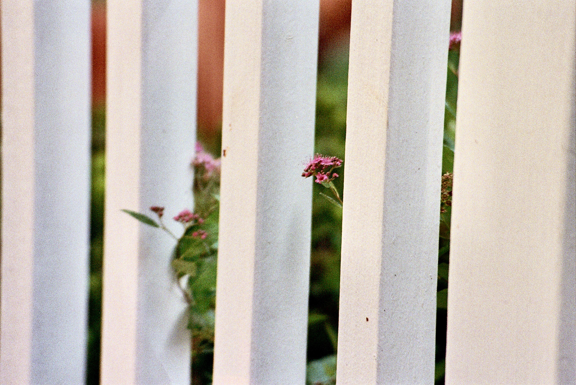 Autosave-File vom d-lab2/3 der AgfaPhoto GmbH