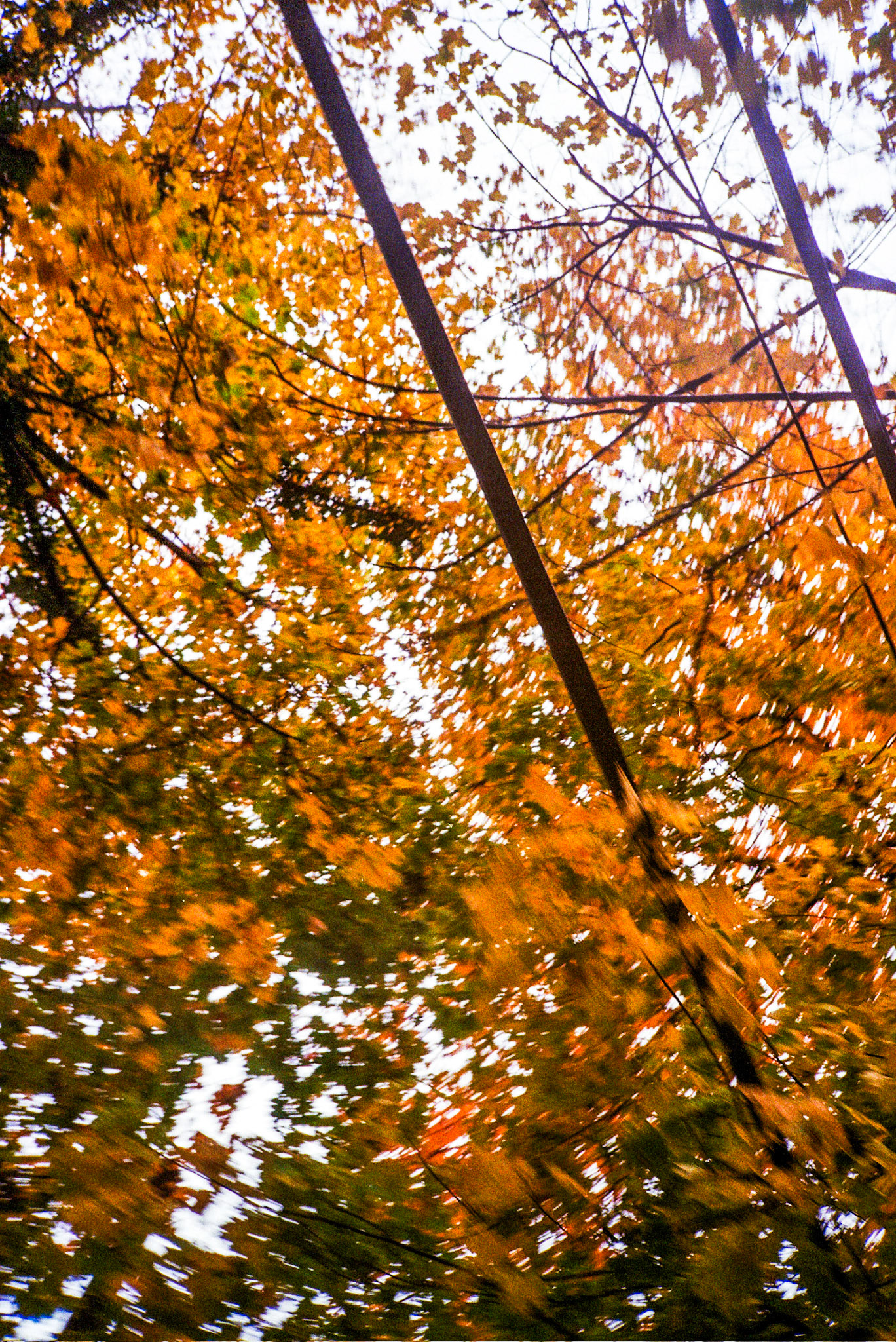 Autosave-File vom d-lab2/3 der AgfaPhoto GmbH