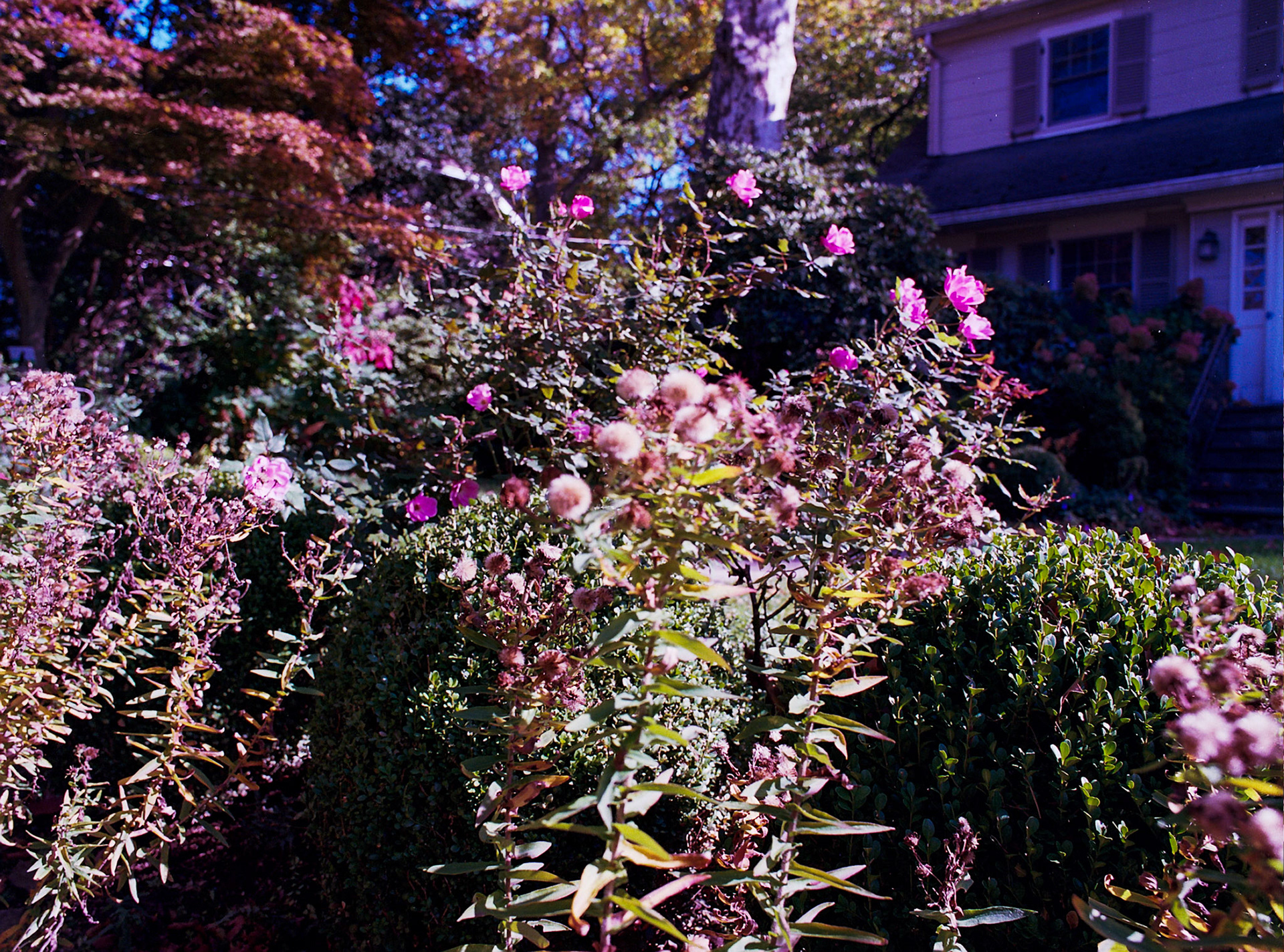 Autosave-File vom d-lab2/3 der AgfaPhoto GmbH